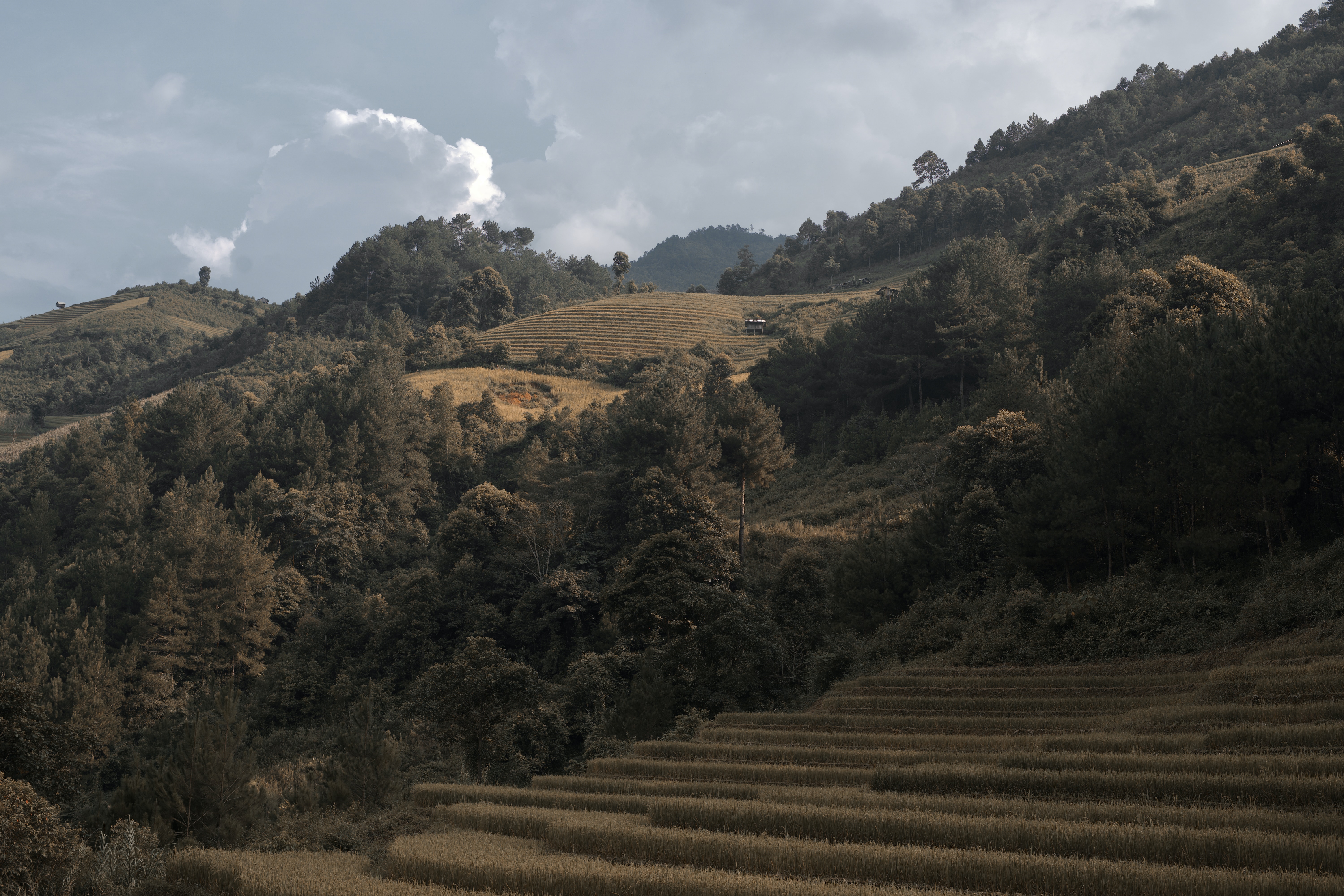 Huyen Mu Cang Chai, Vietnam