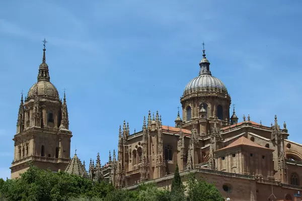 Cortadores de Jamón