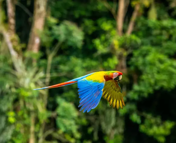 Orosi, Cartago, Costa Rica