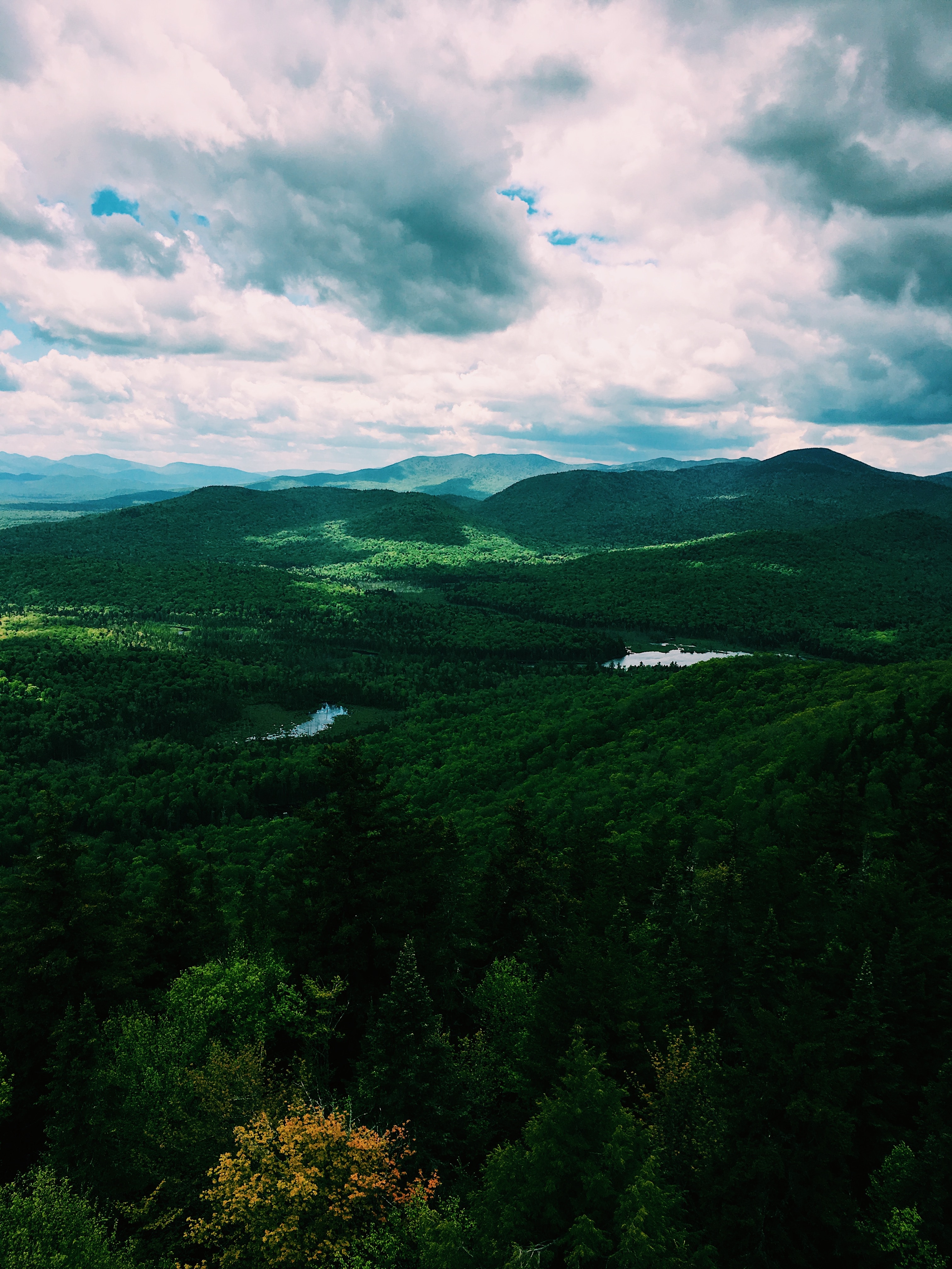 Goodnow Mountain (812m)