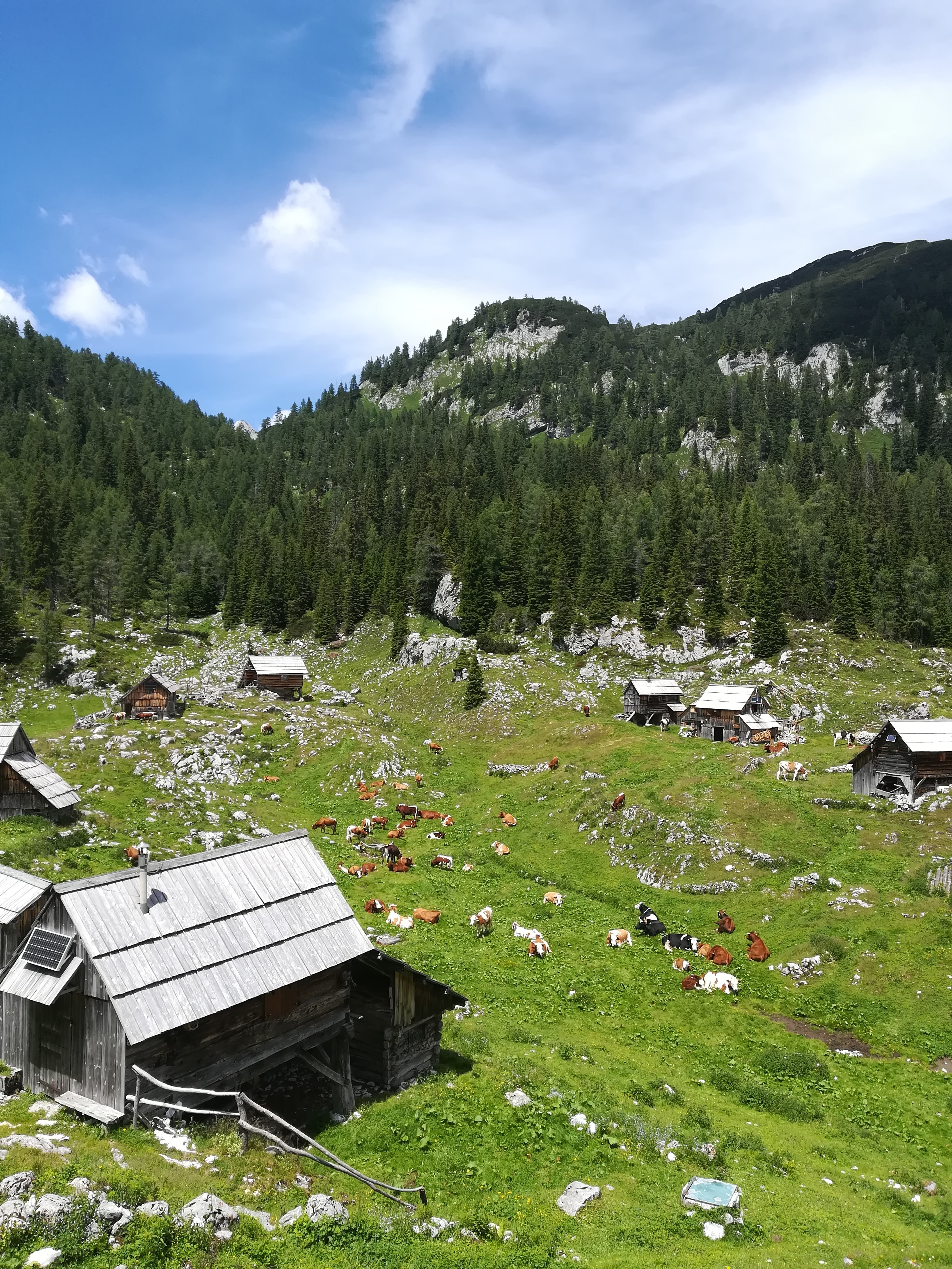 Bohinj, Slovenia