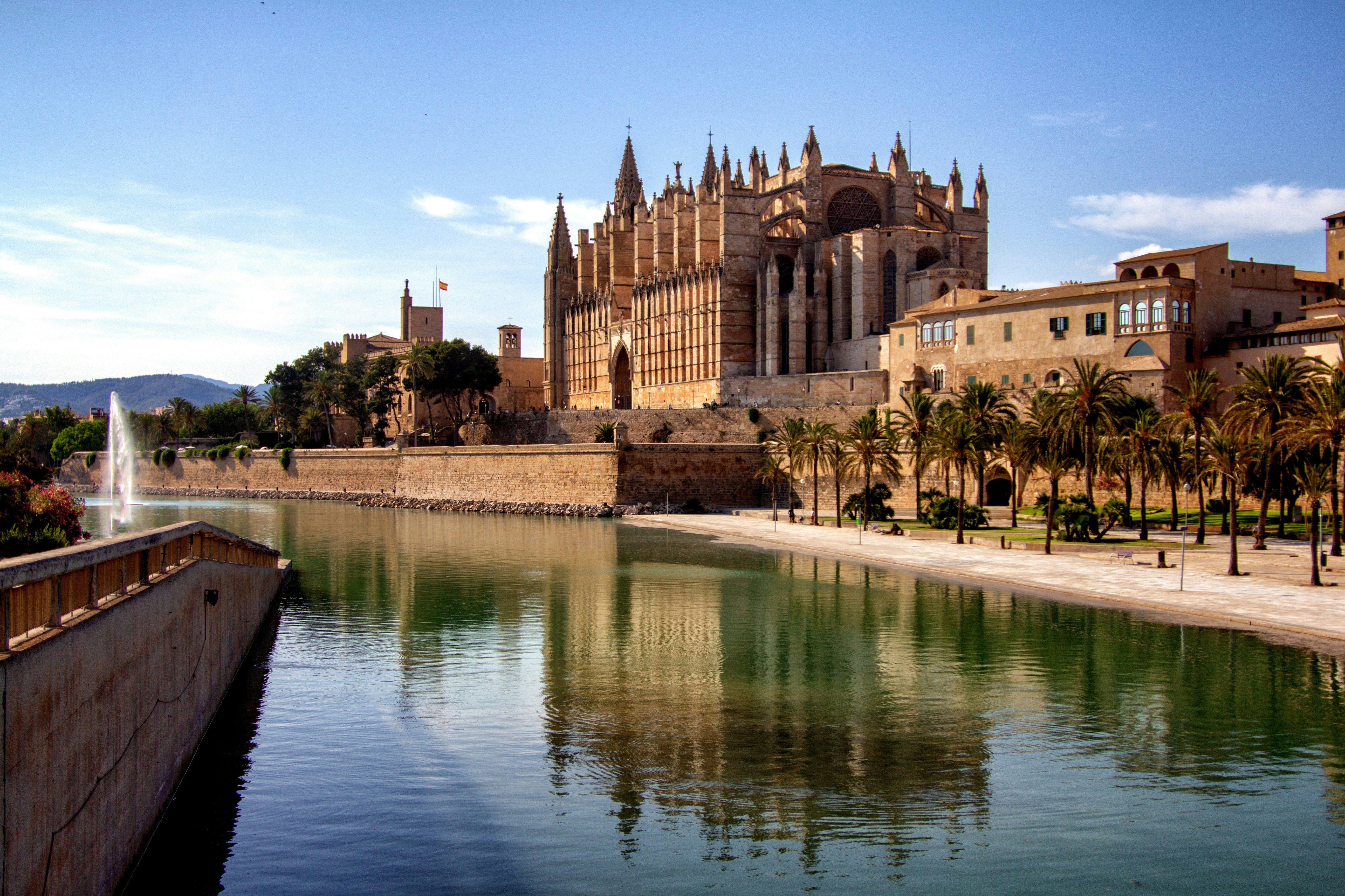 catedral de mallorc