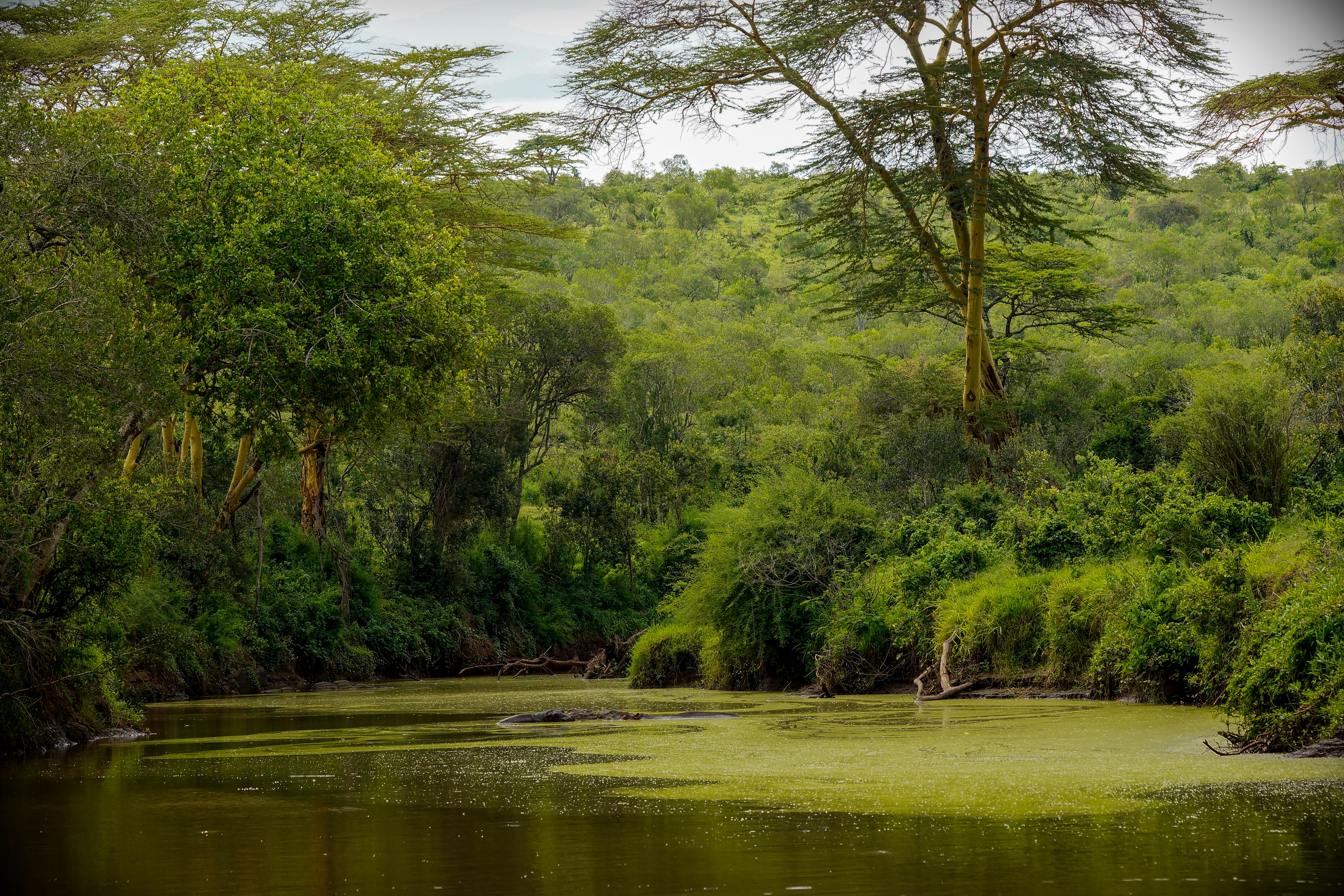 Laikipia, Kenya