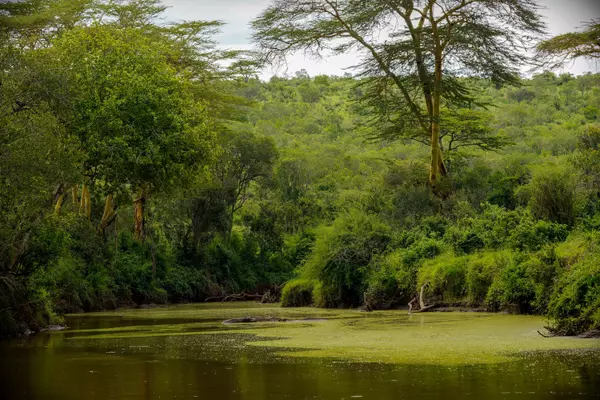 Laikipia, Kenya