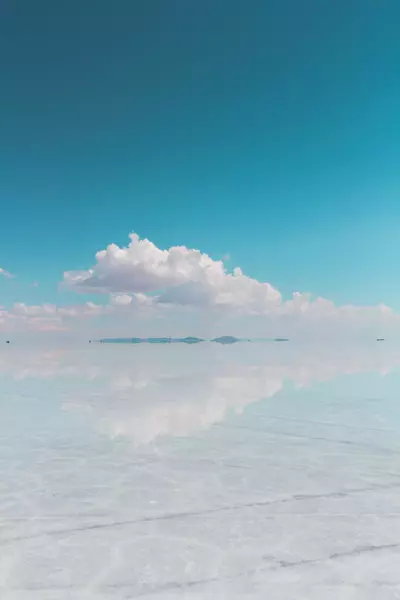 Uyuni (Thola Pampa), Potosí, Bolivia