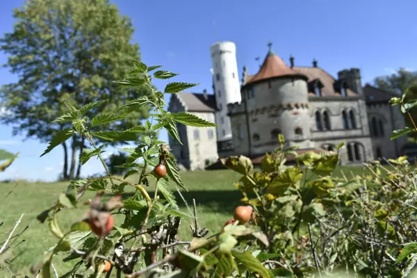 Schloss Lichtenstein 3, 72805 Lichtenstein, Germany