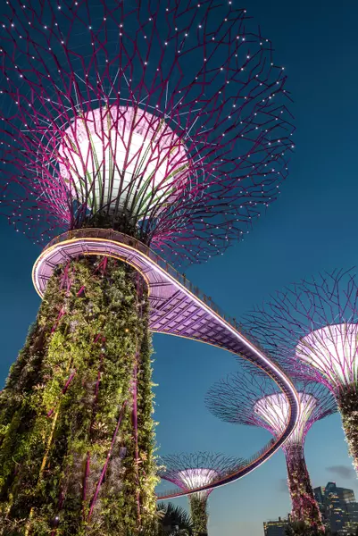 McDonald's-Gardens by the Bay