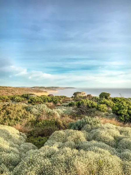 Great Ocean Rd, Lorne VIC 3232, Australia