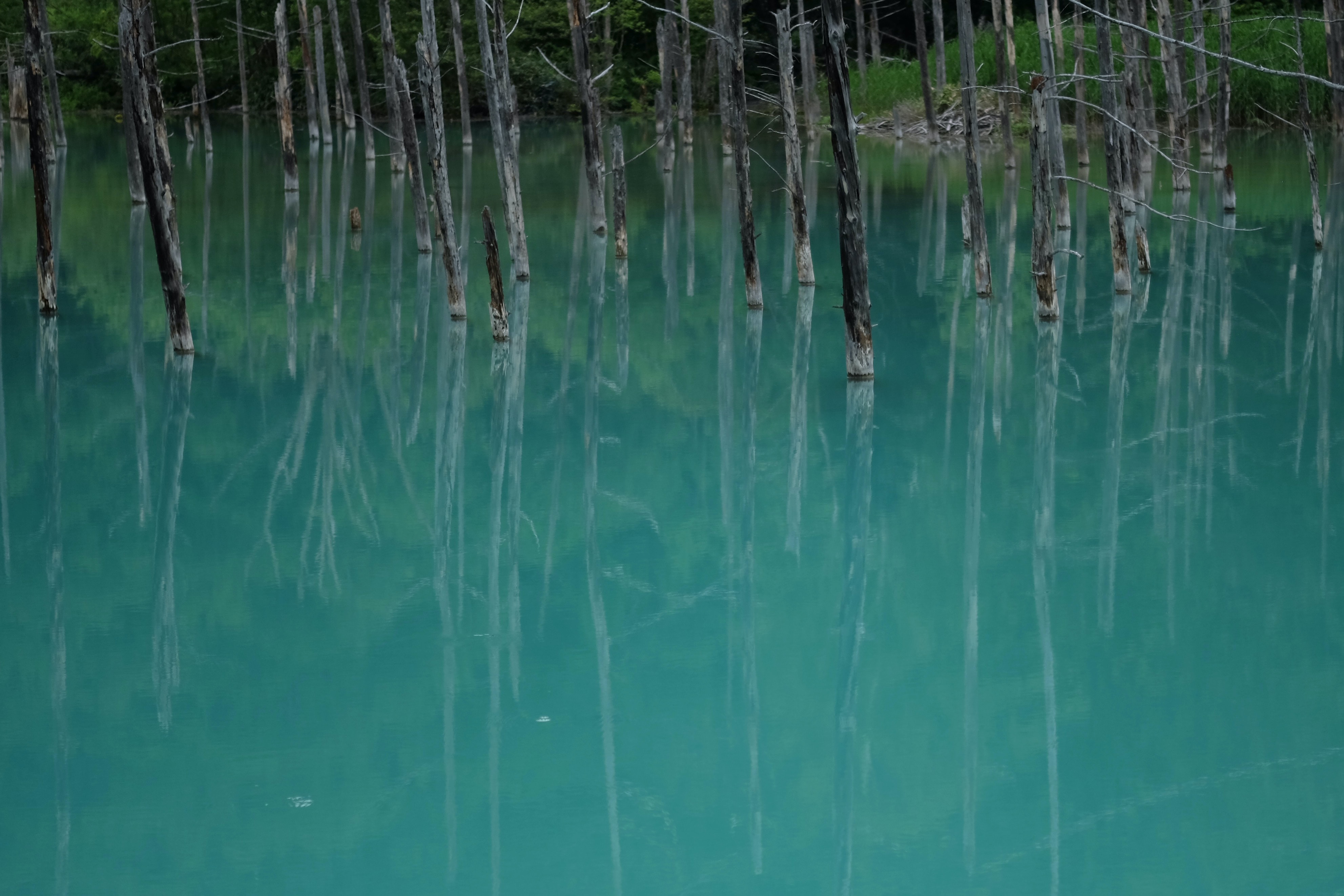 Shirogane, Biei-cho, Kamikawa-gun, Hokkaido, Japan