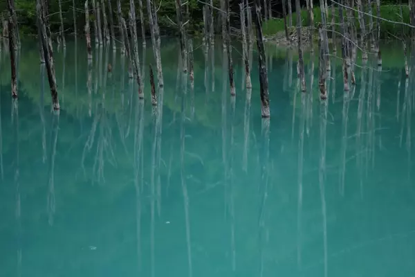 Shirogane, Biei-cho, Kamikawa-gun, Hokkaido, Japan