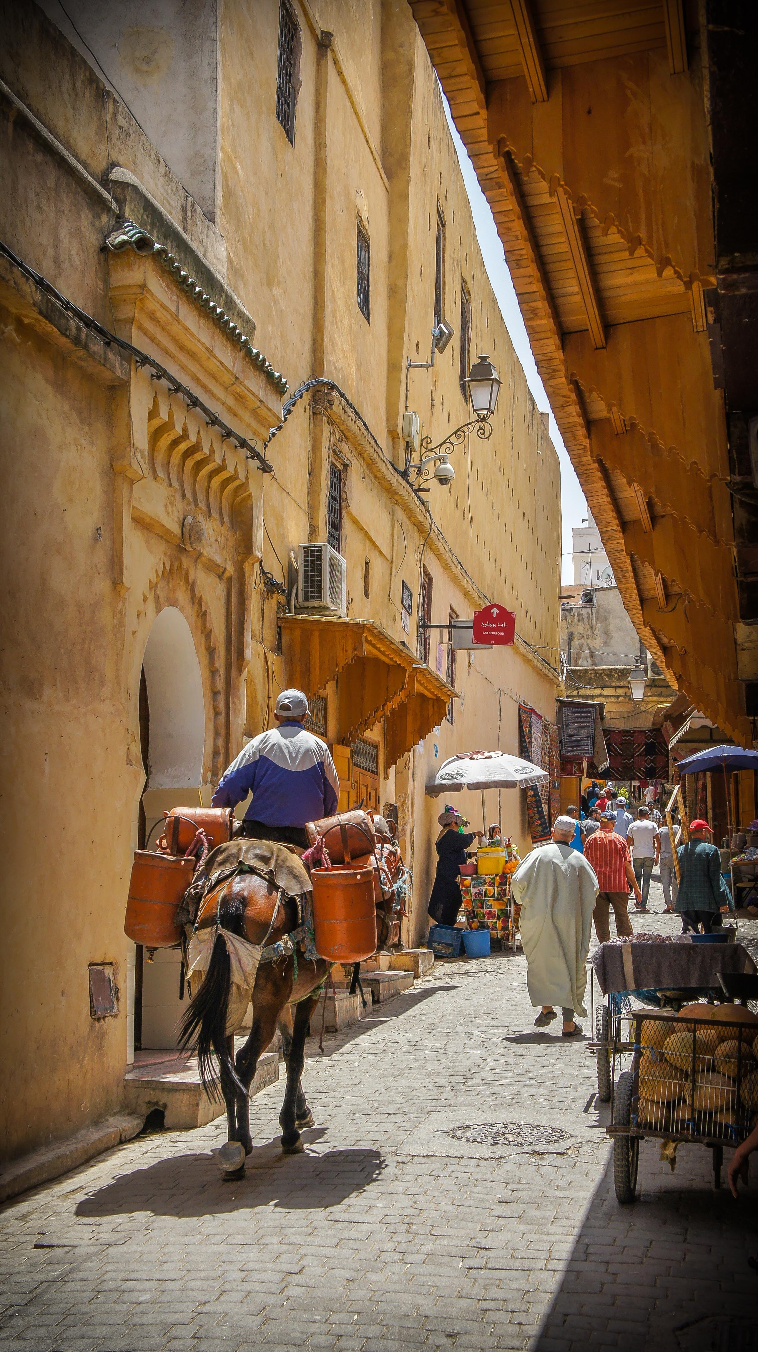 Avenue Ahmed Balafrej, Fez, Morocco