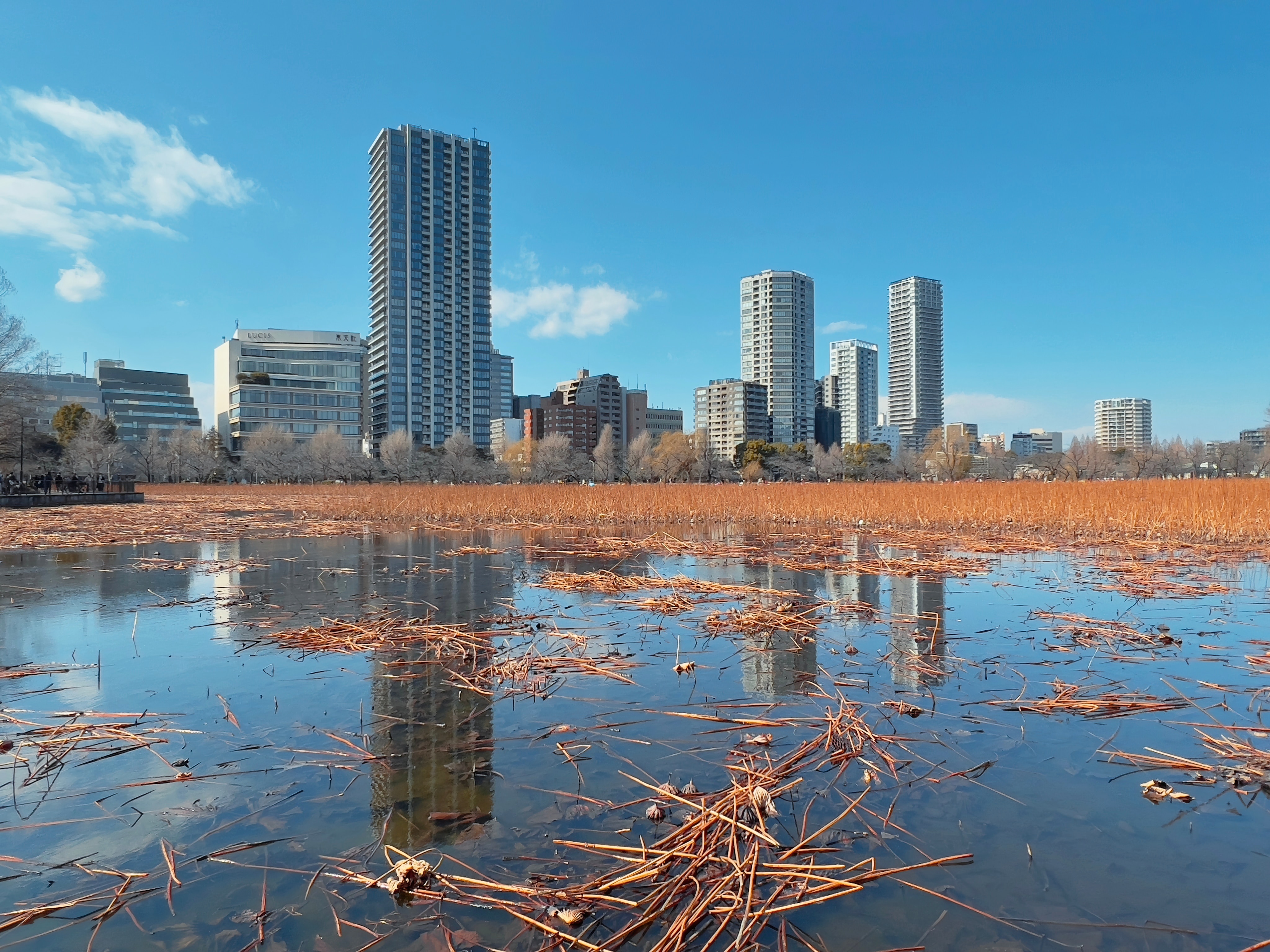 2, Uenokoen, Taito-ku, Tokyo 110-0007, Japan