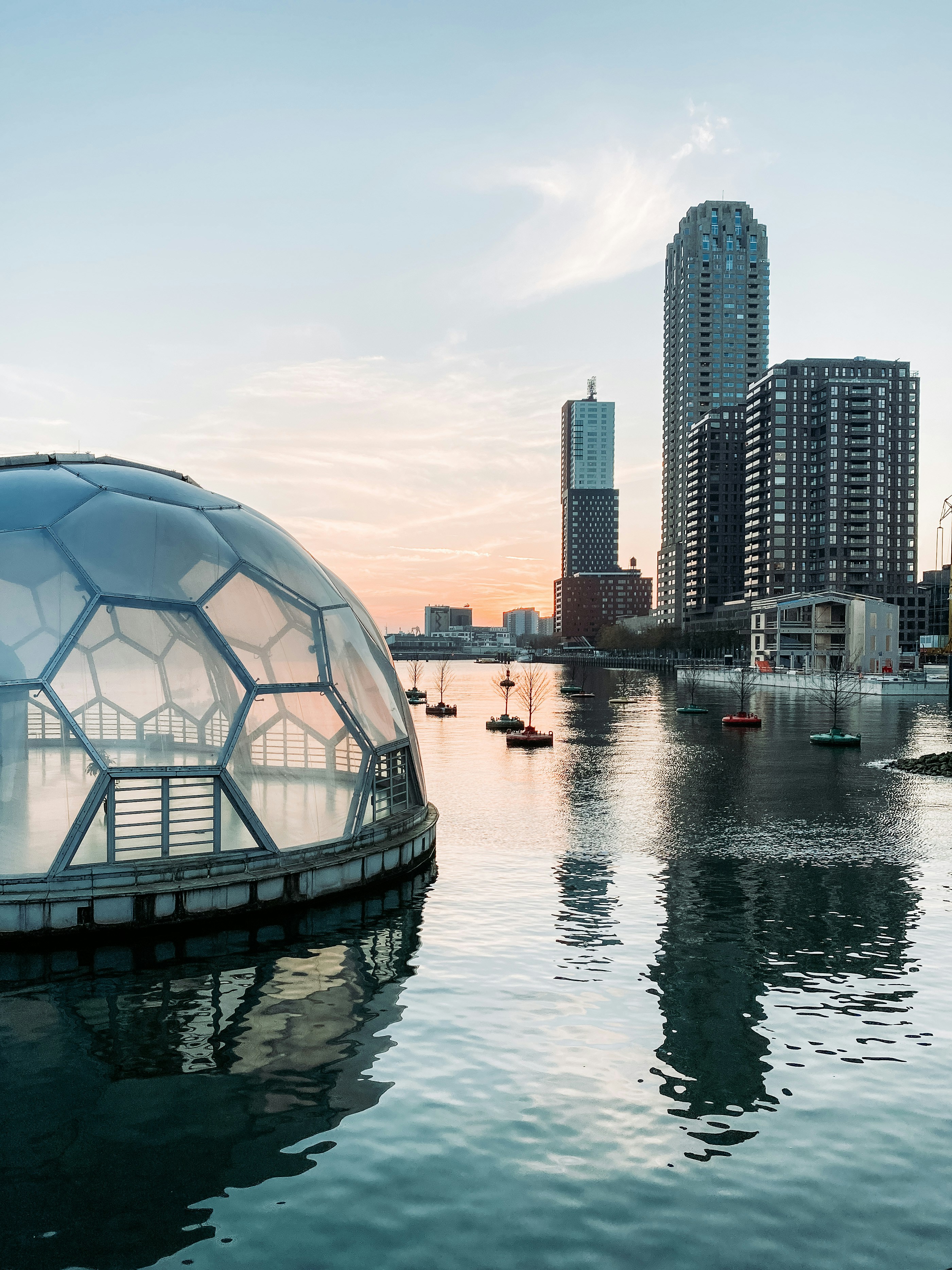 Rotterdam, Rijnhaven