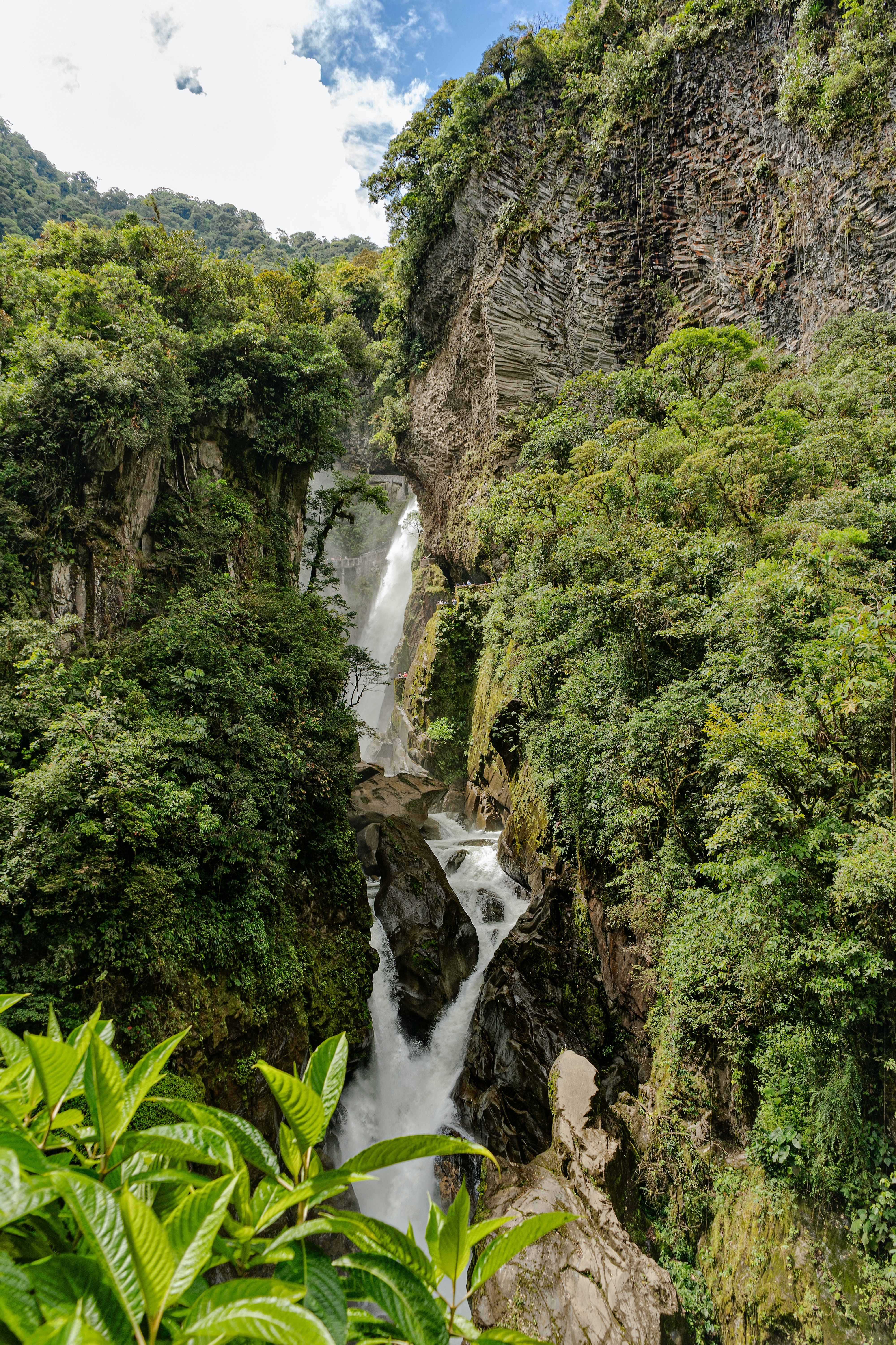 Calle 11 de Septiembre, 180302 Río Verde, Ecuador