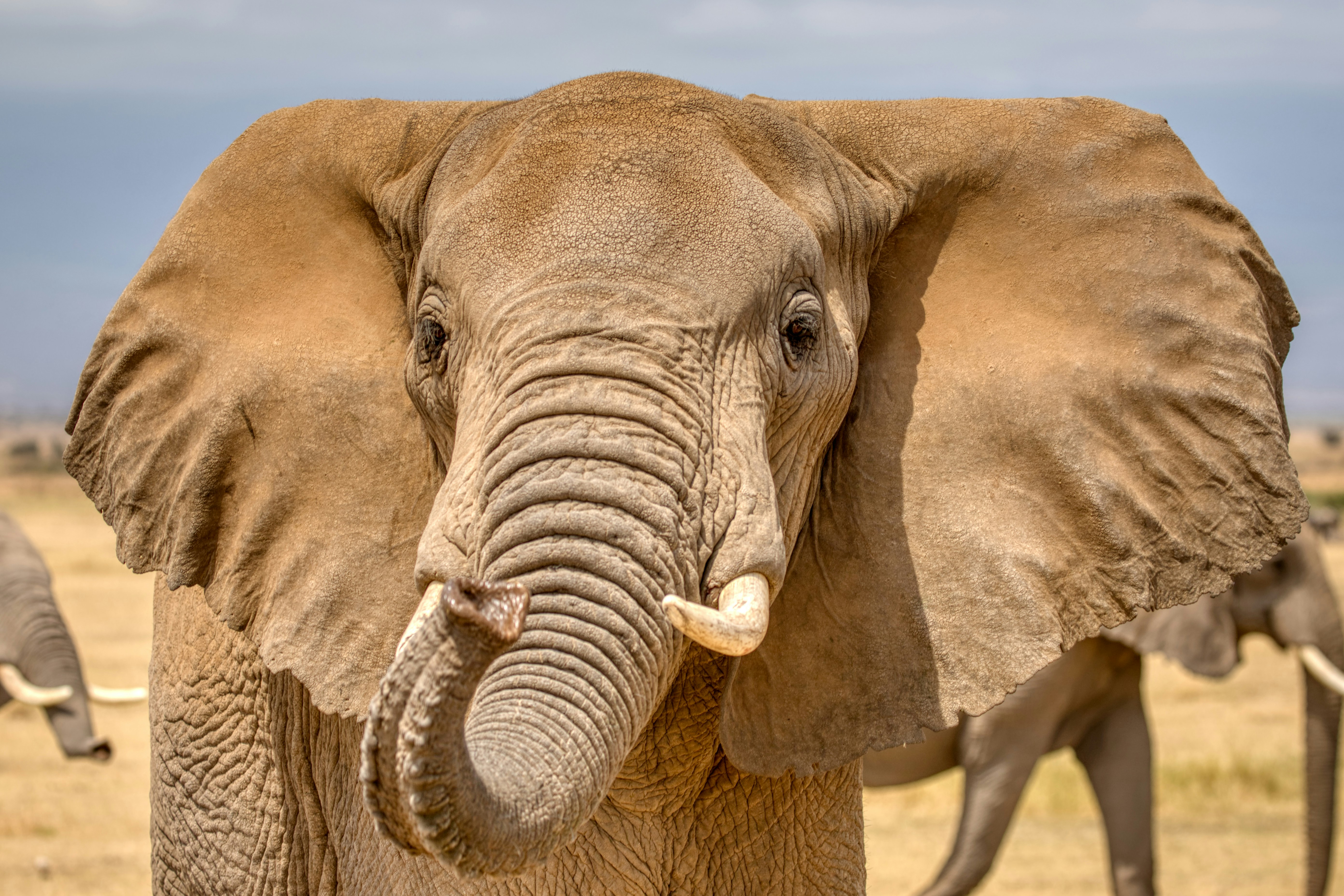 Kajiado, Kenya