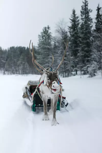 Kittilä, Lapland, Finland