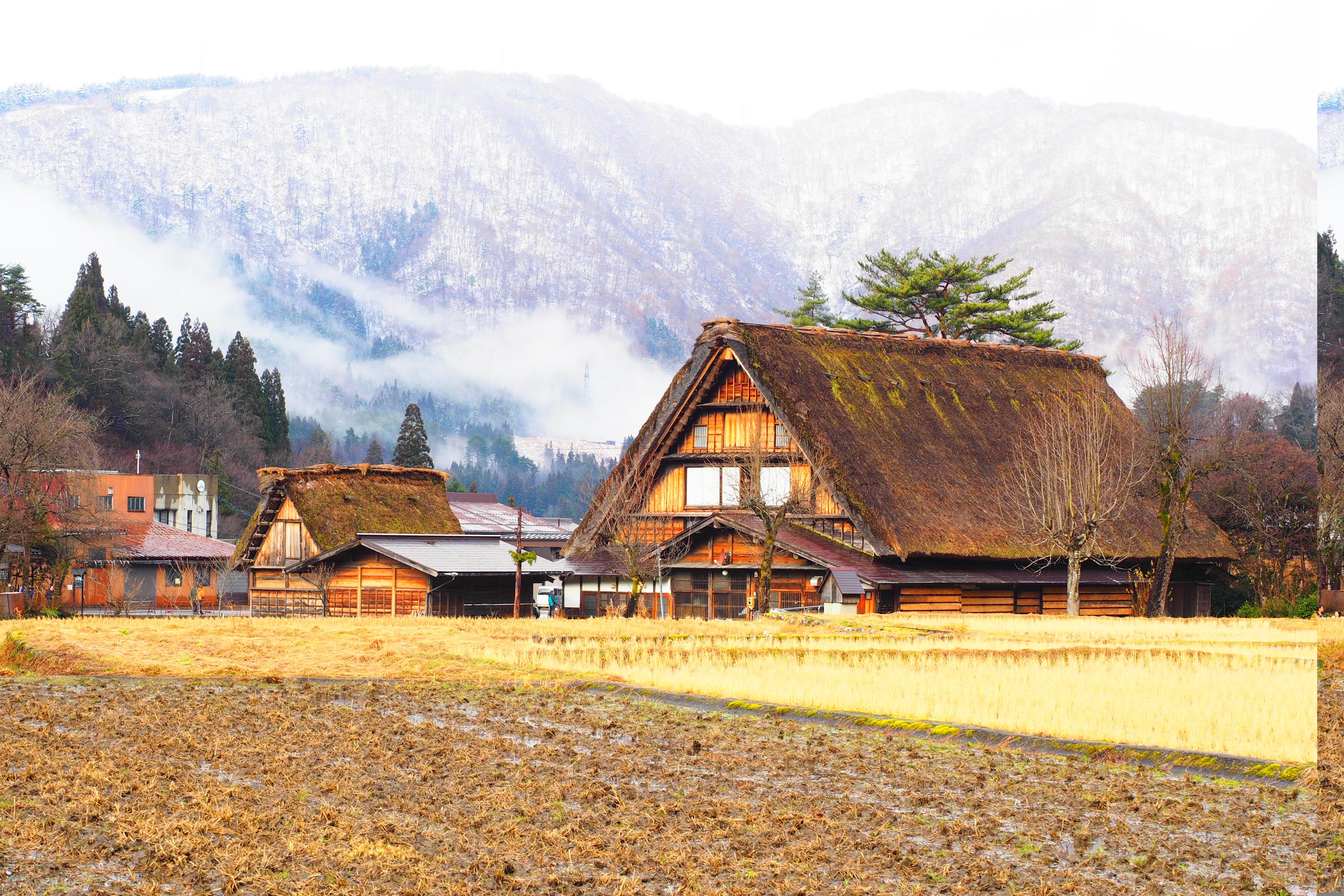 517, Hatotani, Shirakawa-mura, Ono-gun, Gifu 501-5629, Japan