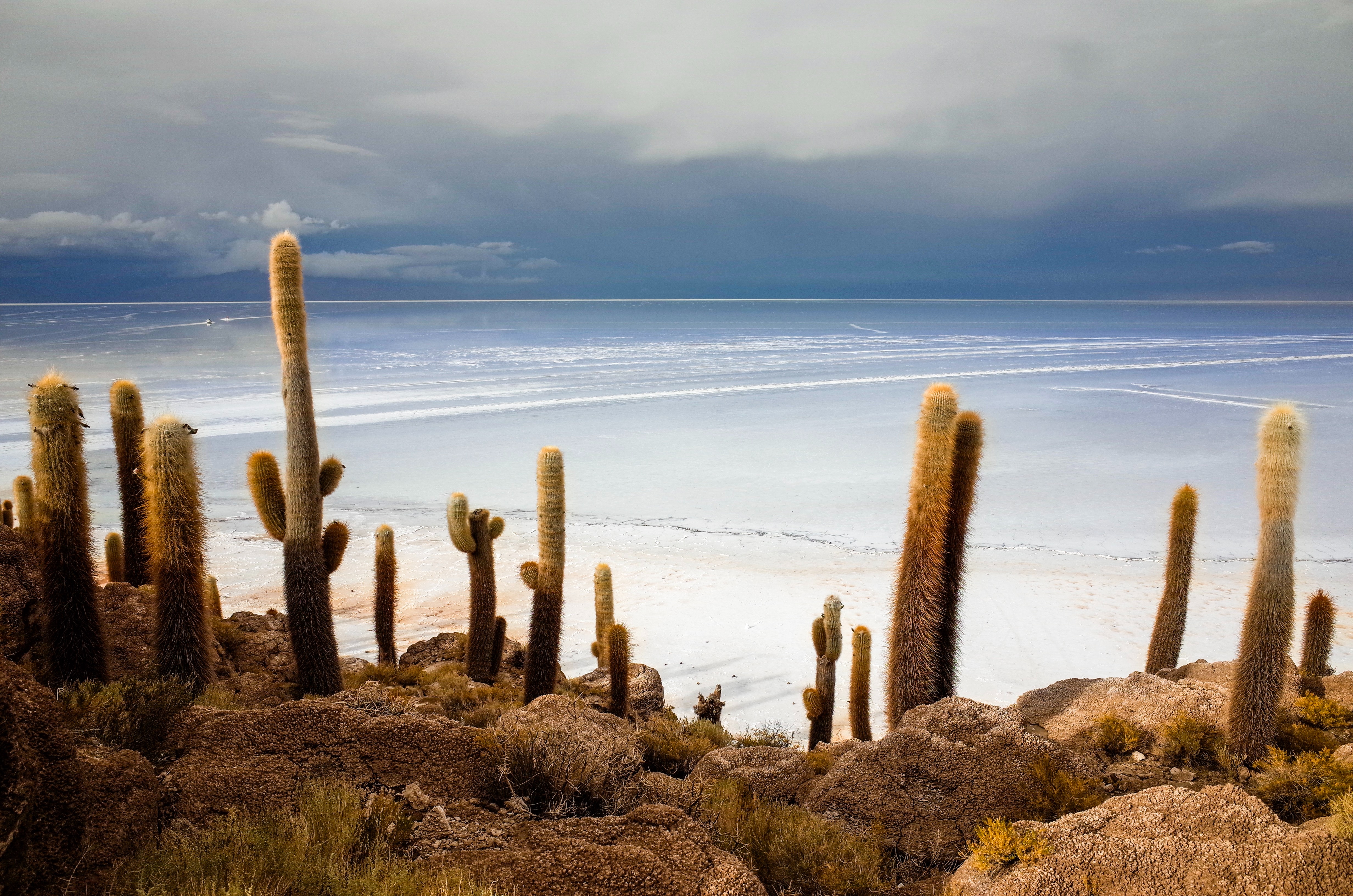 Uyuni (Thola Pampa), Potosí, Bolivia