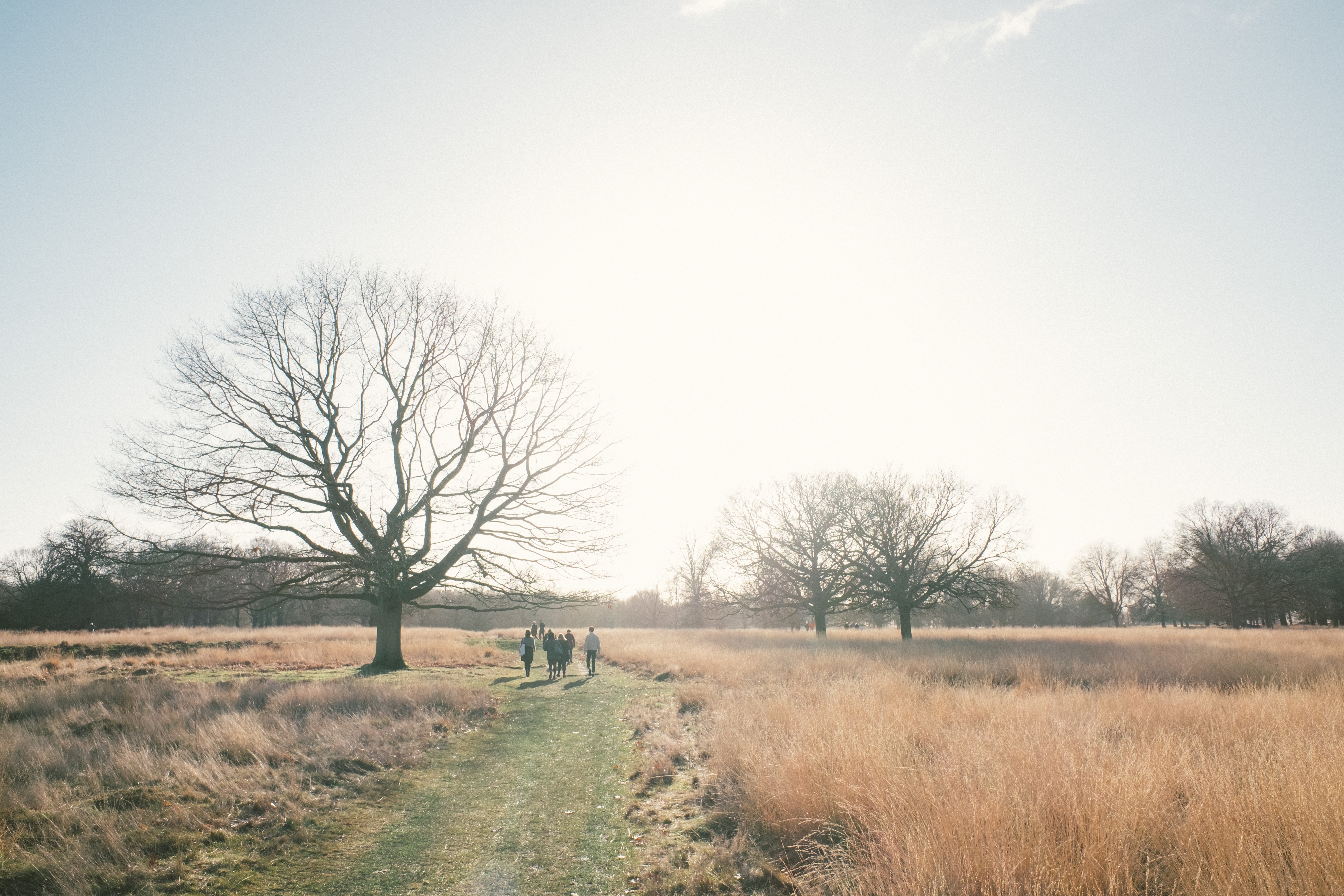 My Cleaners Richmond Park