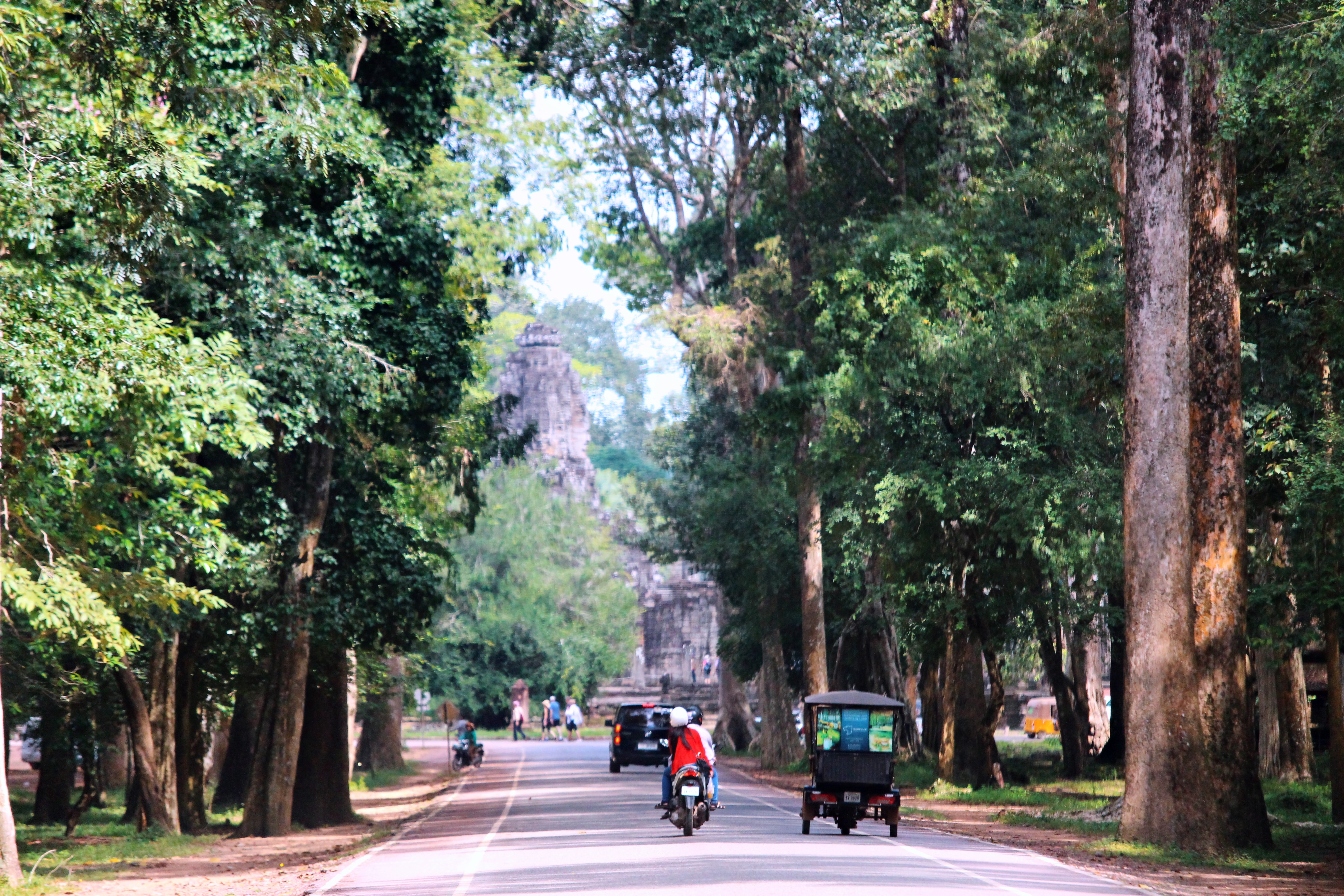 Angkor Scenic Tour