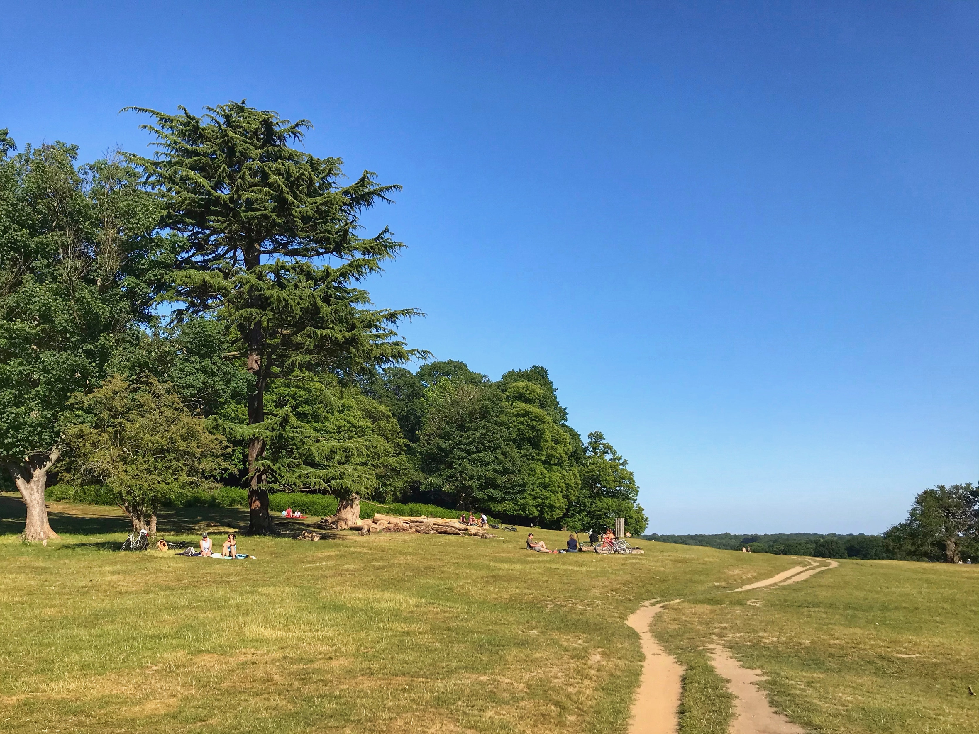 Richmond Park