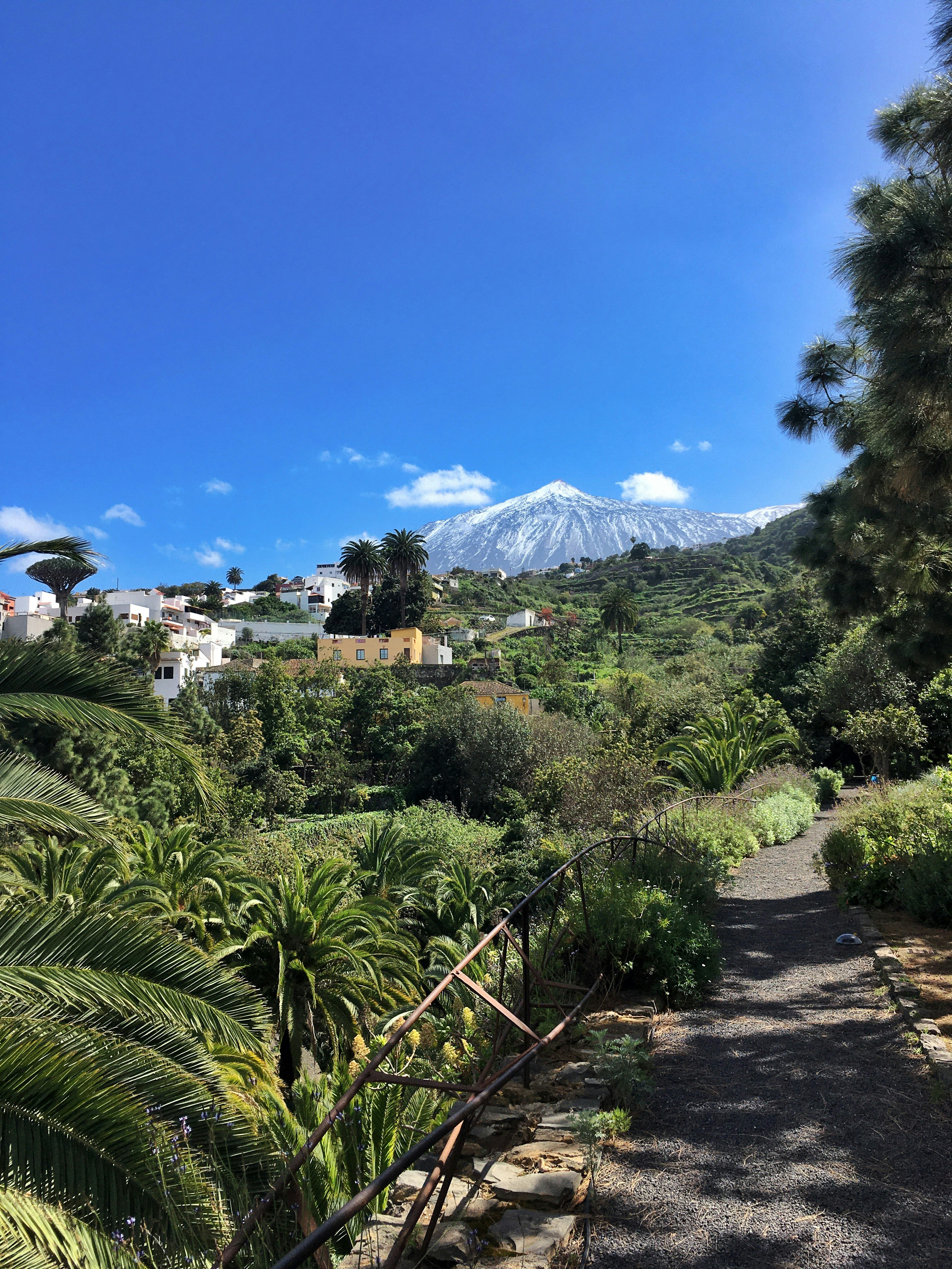 Camino a Redondo, 31, 38438 Icod de los Vinos (Santa Cruz de Tenerife), Spain