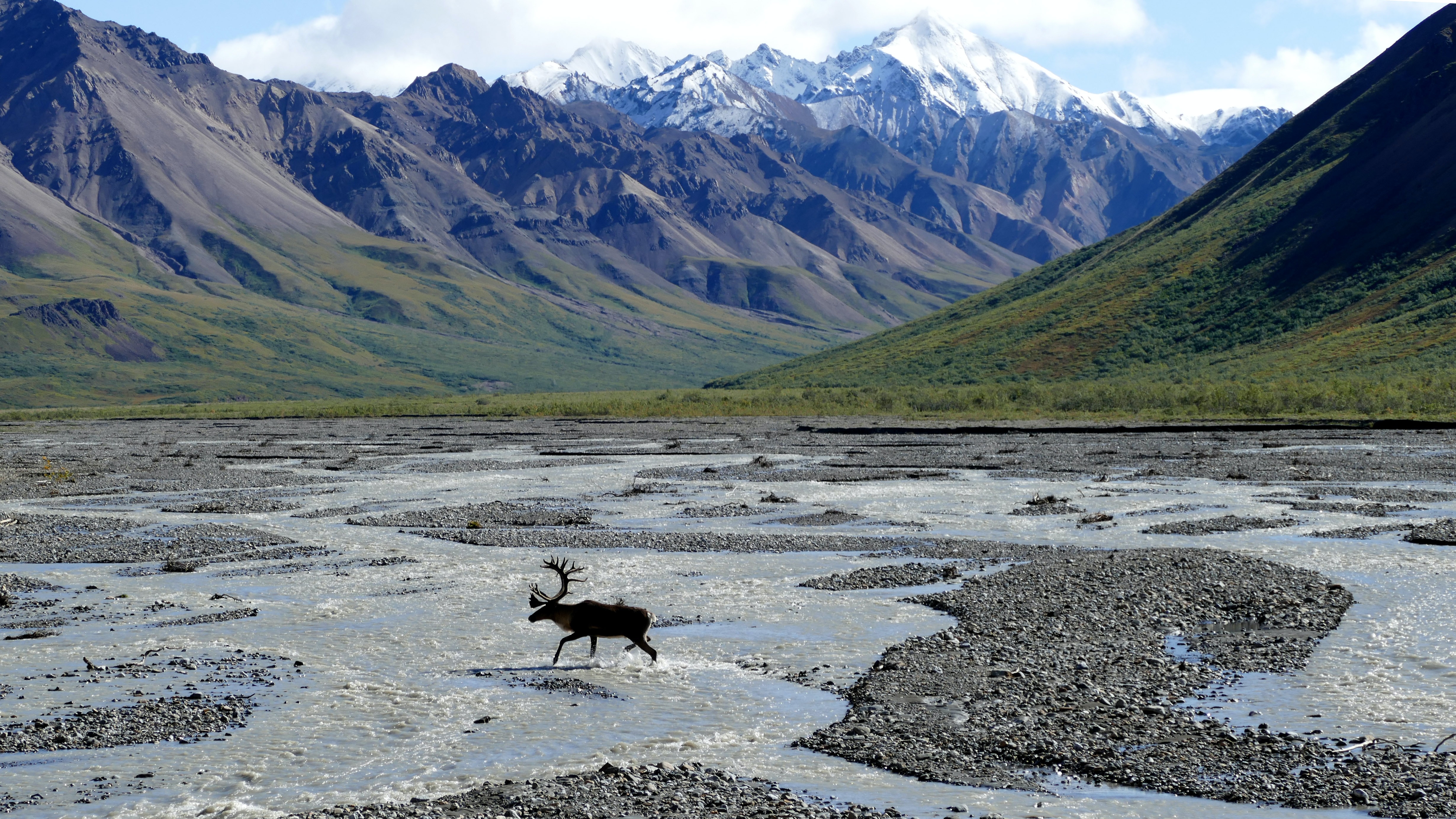 Denali National Park, AK, United States