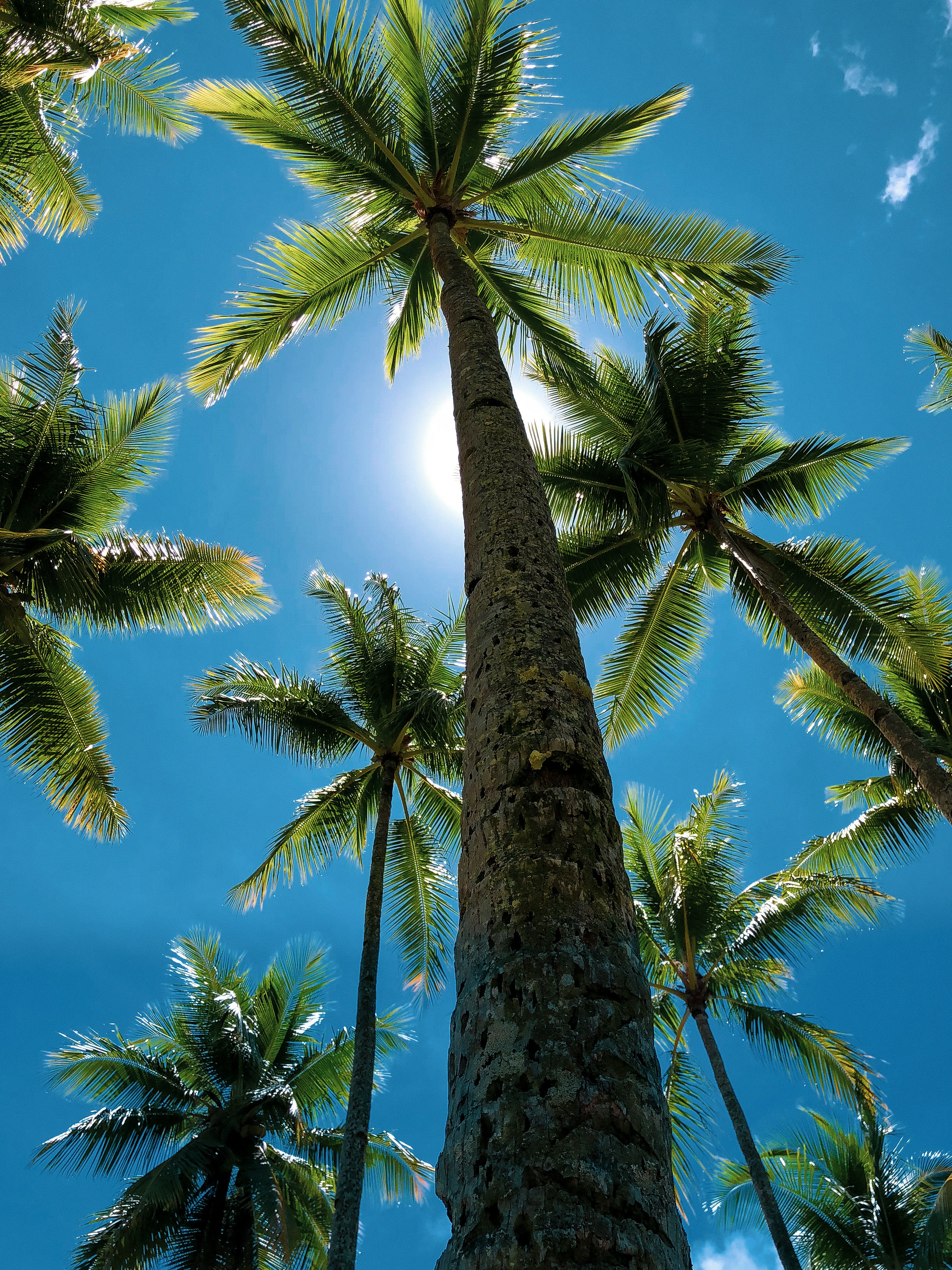 Weno, Chuuk, Federated States of Micronesia