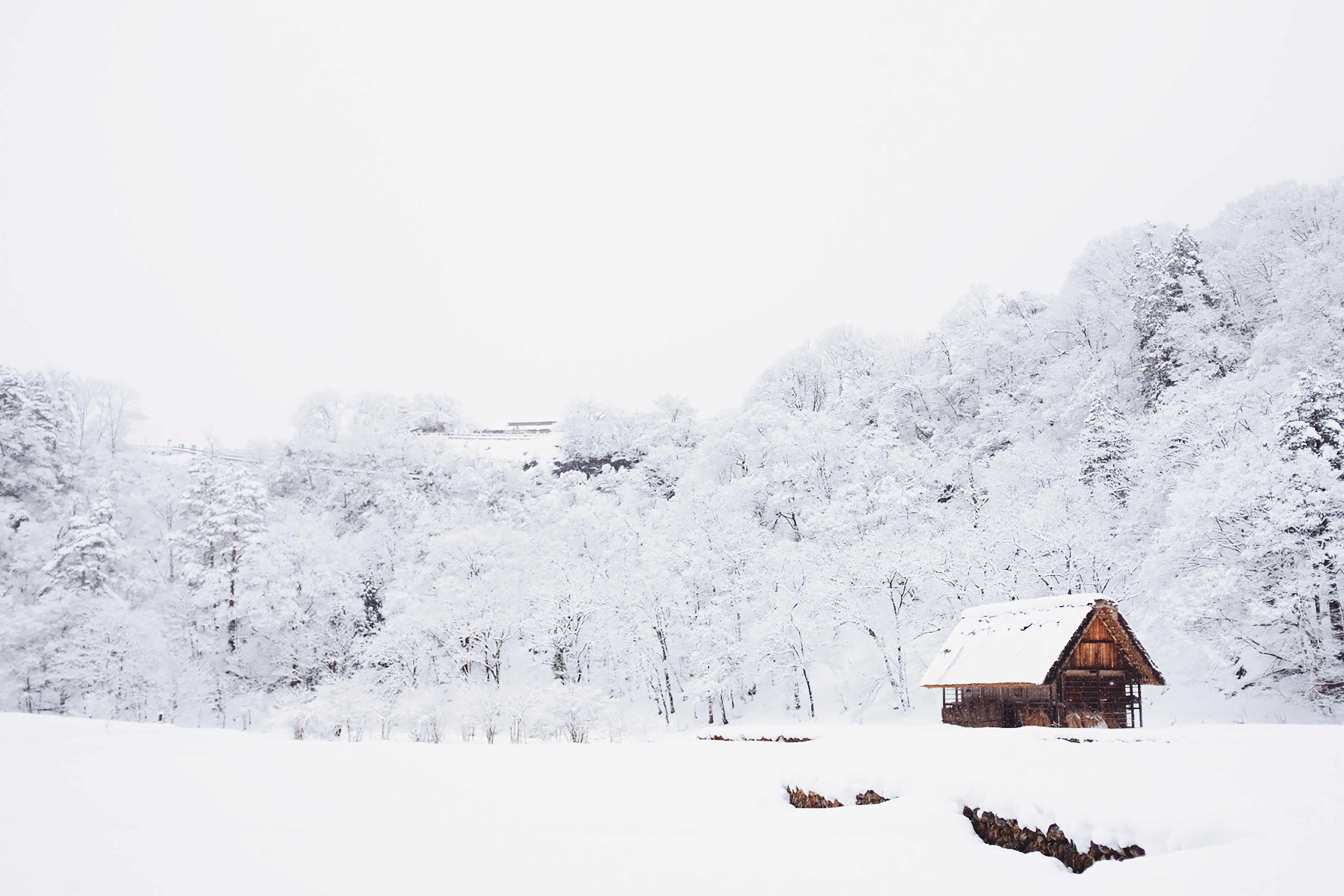 Shirakawa-cho, Kamo-gun, Gifu, Japan