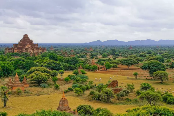 Shwe Bagan Restaurant