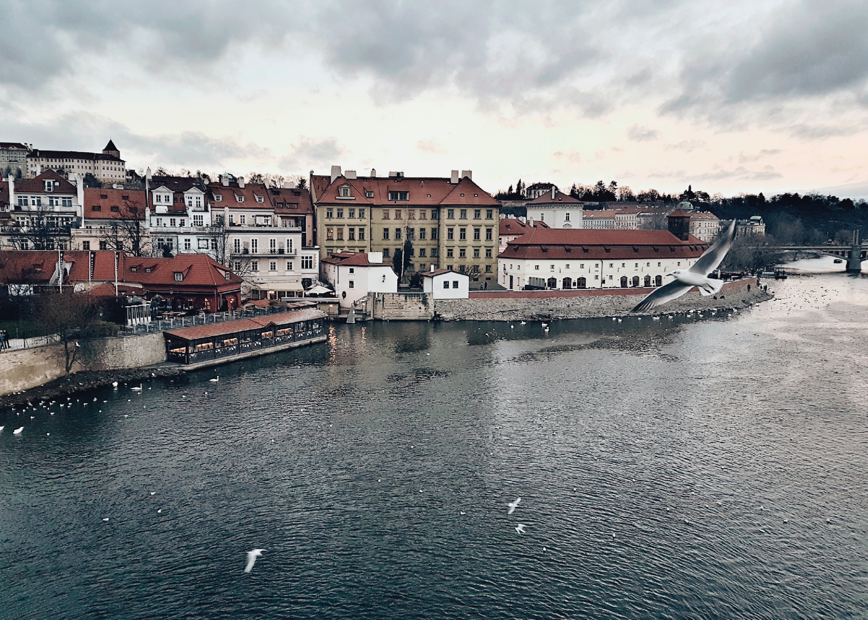 náměstí Míru 820/9, 120 00 Prague, Czechia