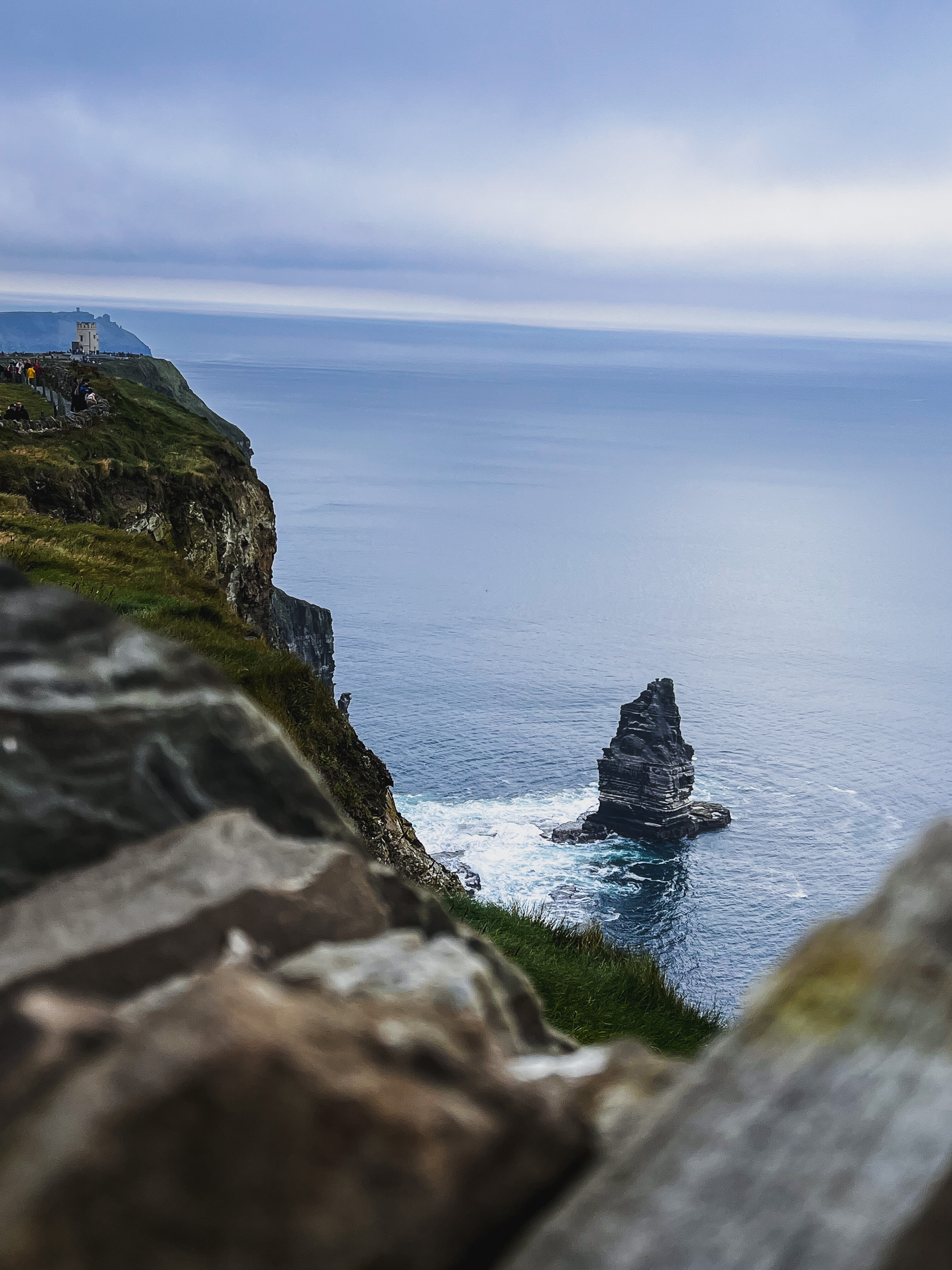 The Puffins Nest Café