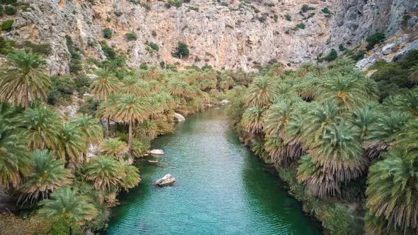 Εκβολή Κουρταλιώτη Ποταμού (Μεγάλος Ποταμόσ)