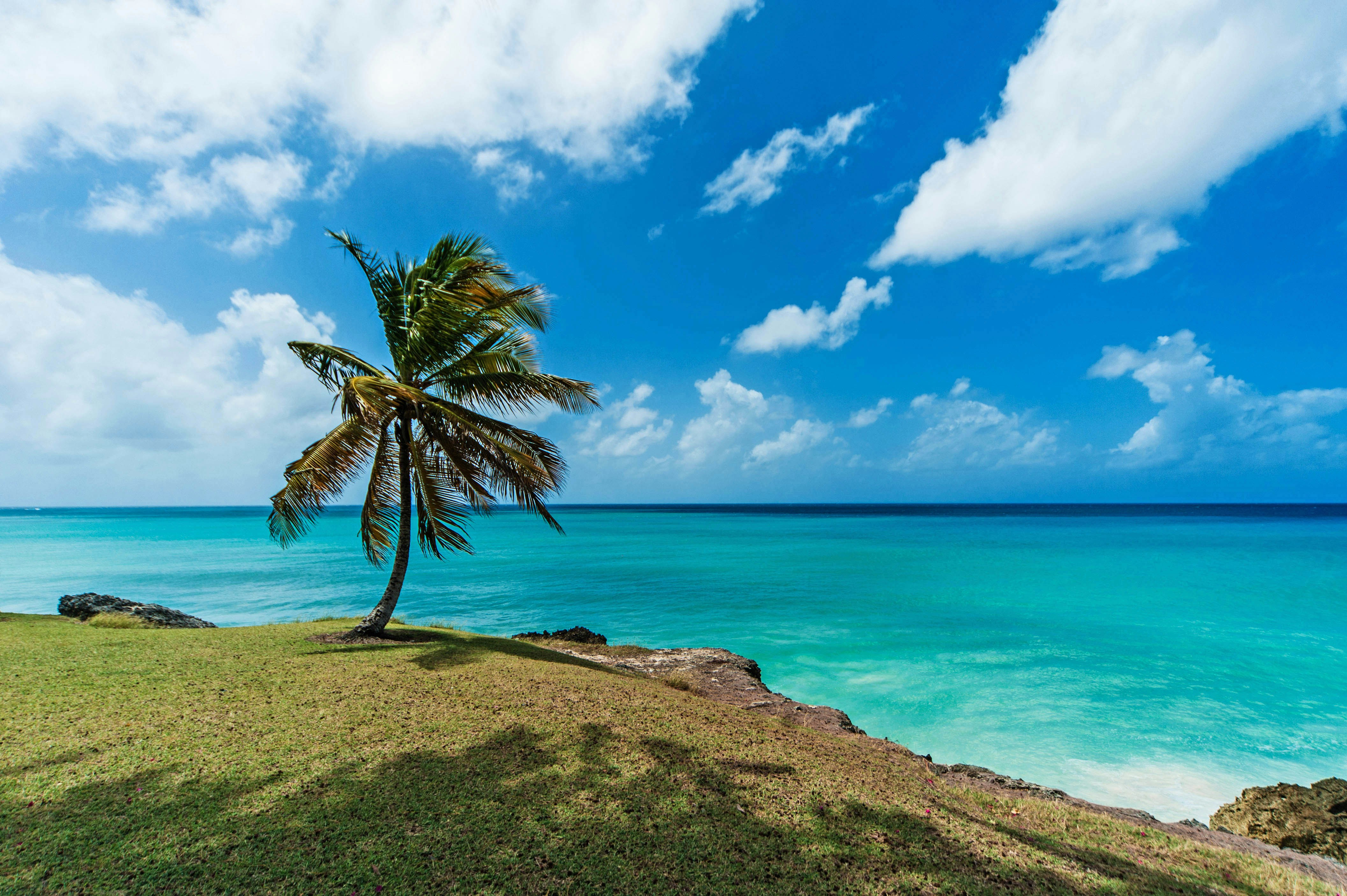 3, Saint Joseph, Barbados