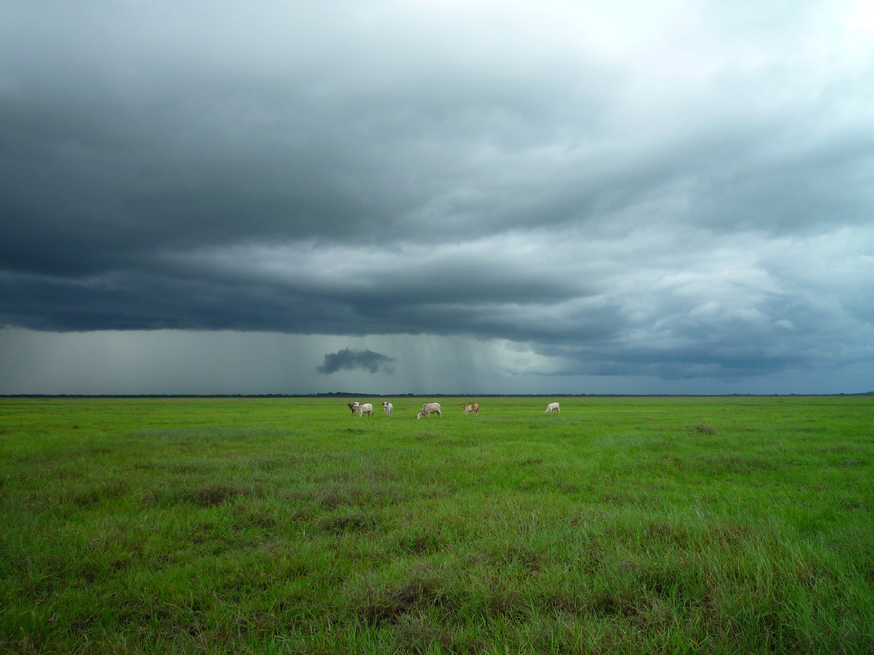 Elorza, Rómulo Gallegos, Apure, Venezuela