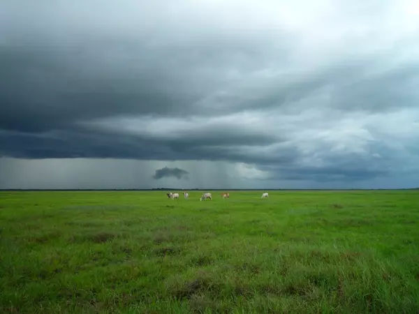 Elorza, Rómulo Gallegos, Apure, Venezuela