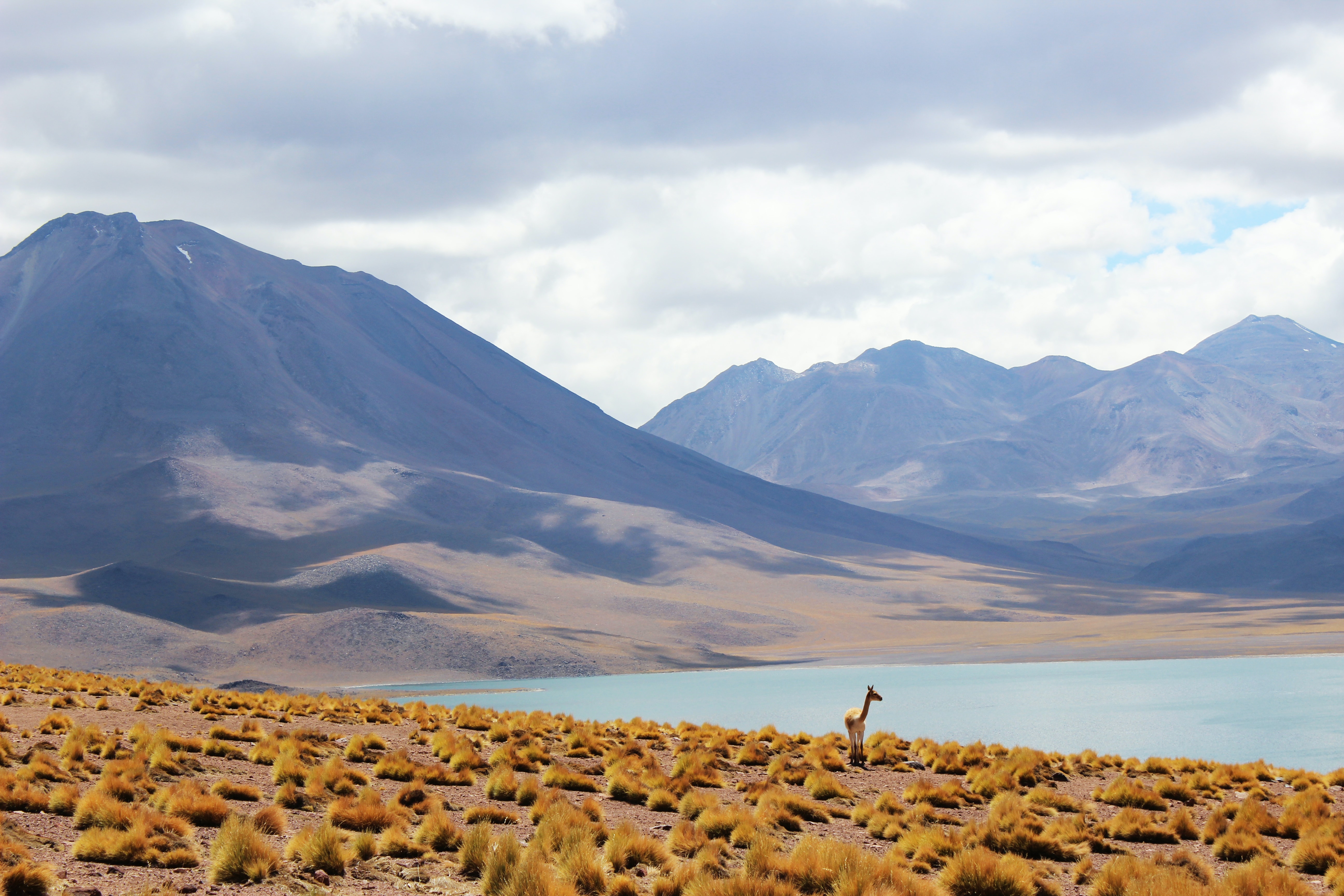 San Pedro de Atacama, Antofagasta, Chile