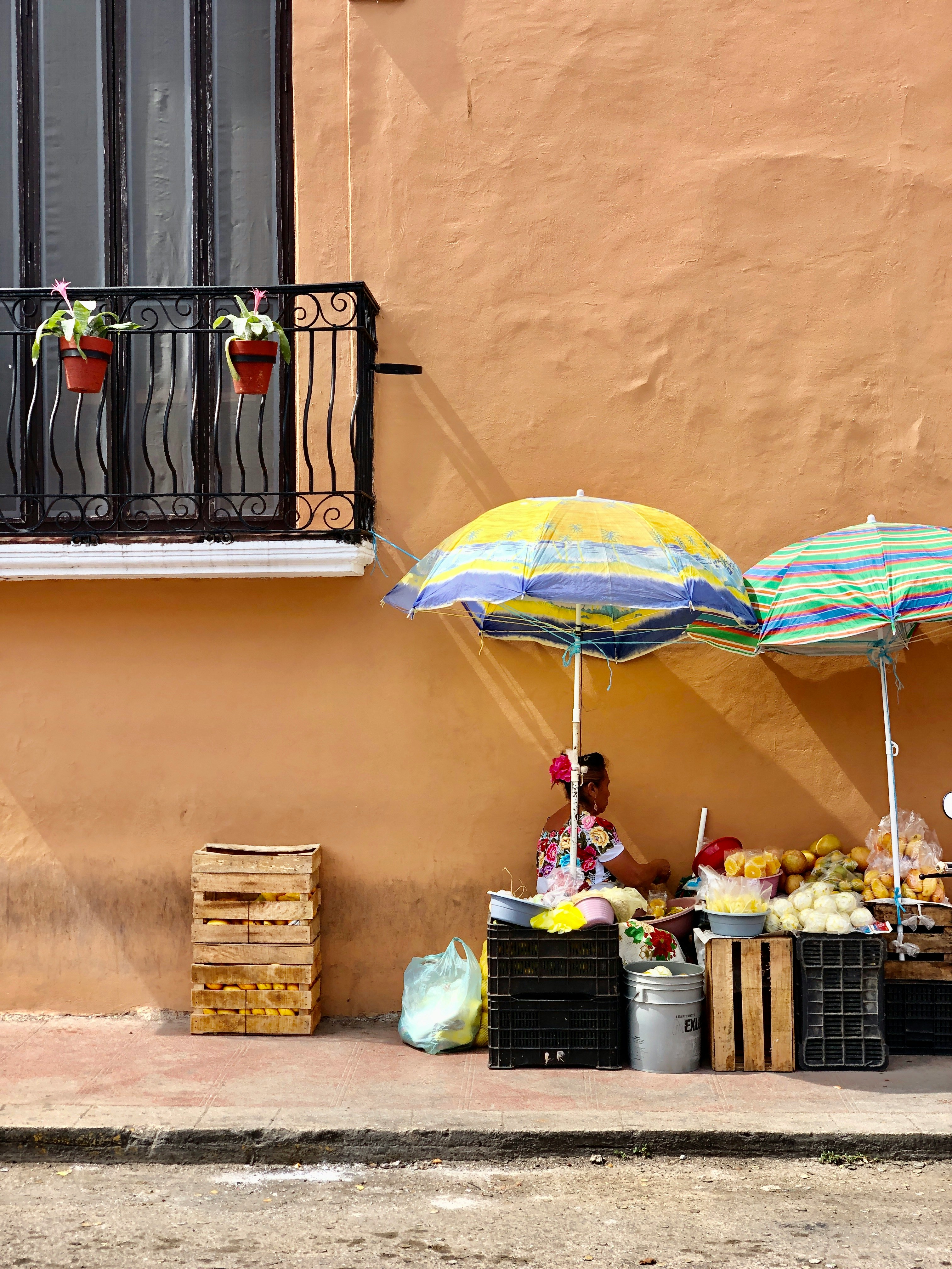 Farmacia Jar-King