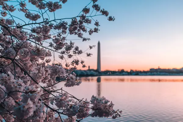 Tidal Basin