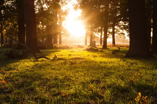 Richmond Park, Burnaby, BC, Canada