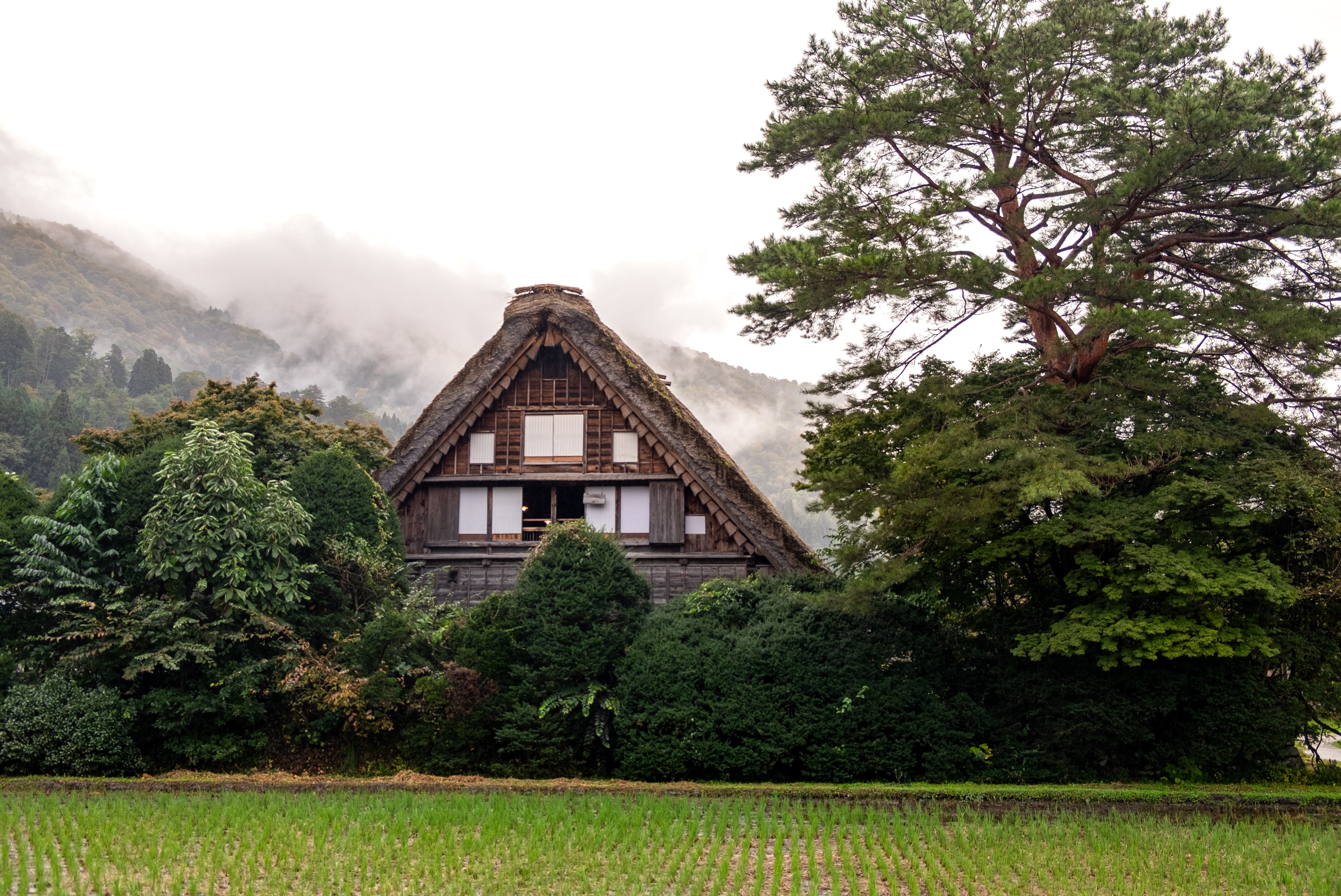 517, Hatotani, Shirakawa-mura, Ono-gun, Gifu 501-5629, Japan