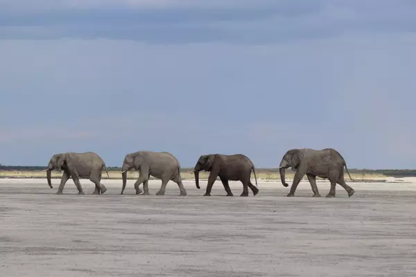 Ngamiland, Botswana