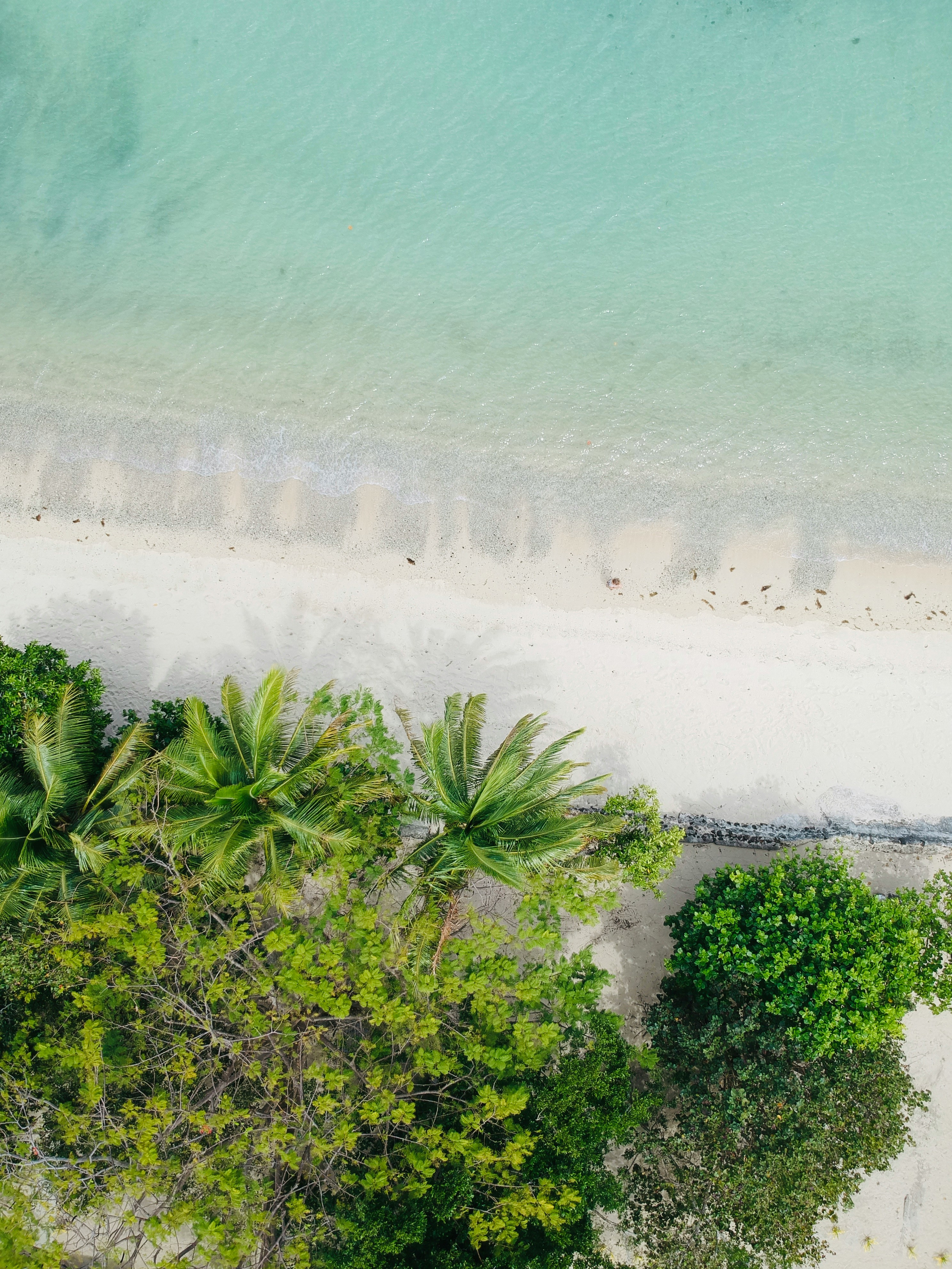 Nadroga-Navosa, Fiji