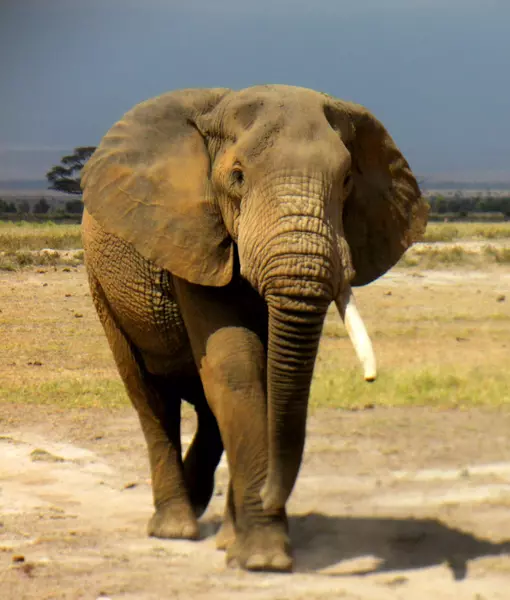 Kajiado, Kenya