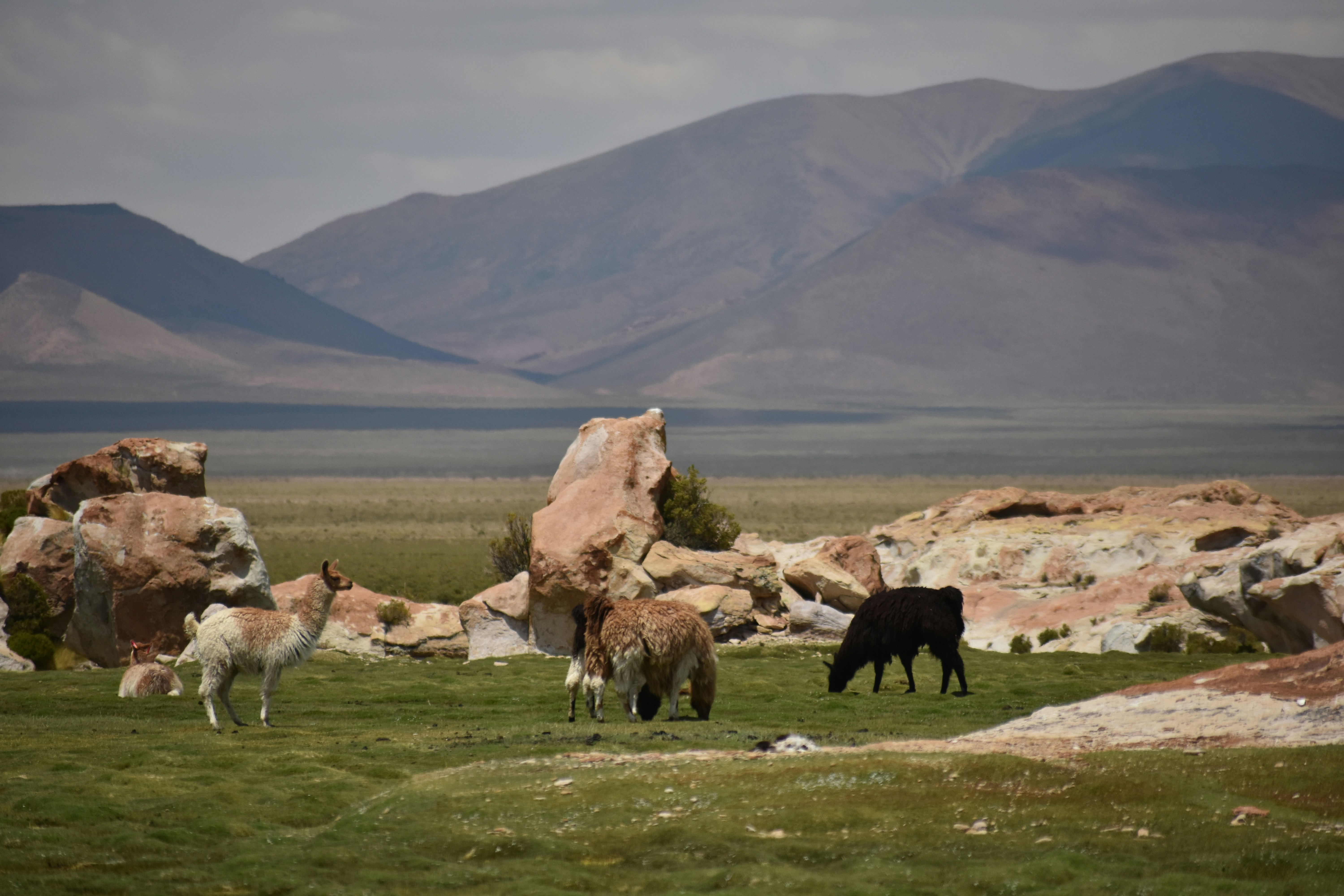 San Pedro de Totora, Oruro, Bolivia