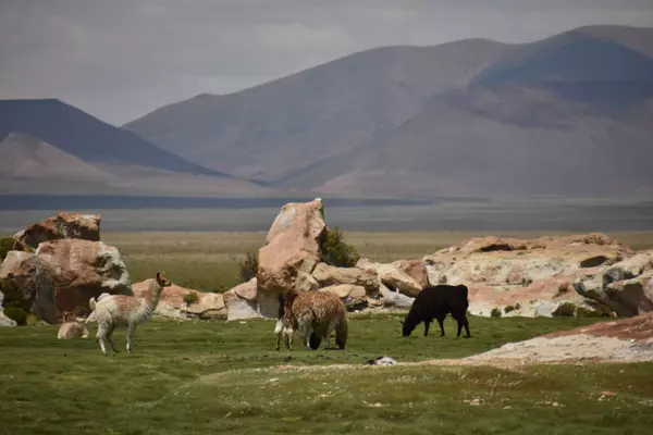 San Pedro de Totora, Oruro, Bolivia