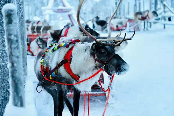 Sodankylä, Lapland, Finland