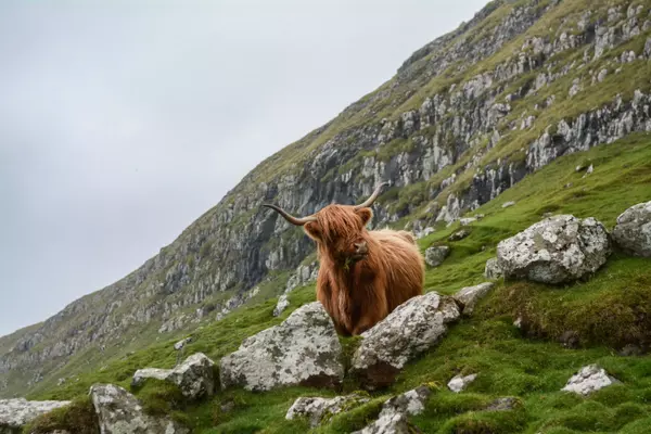 Skopunar, Sandoyar, Faroe Islands