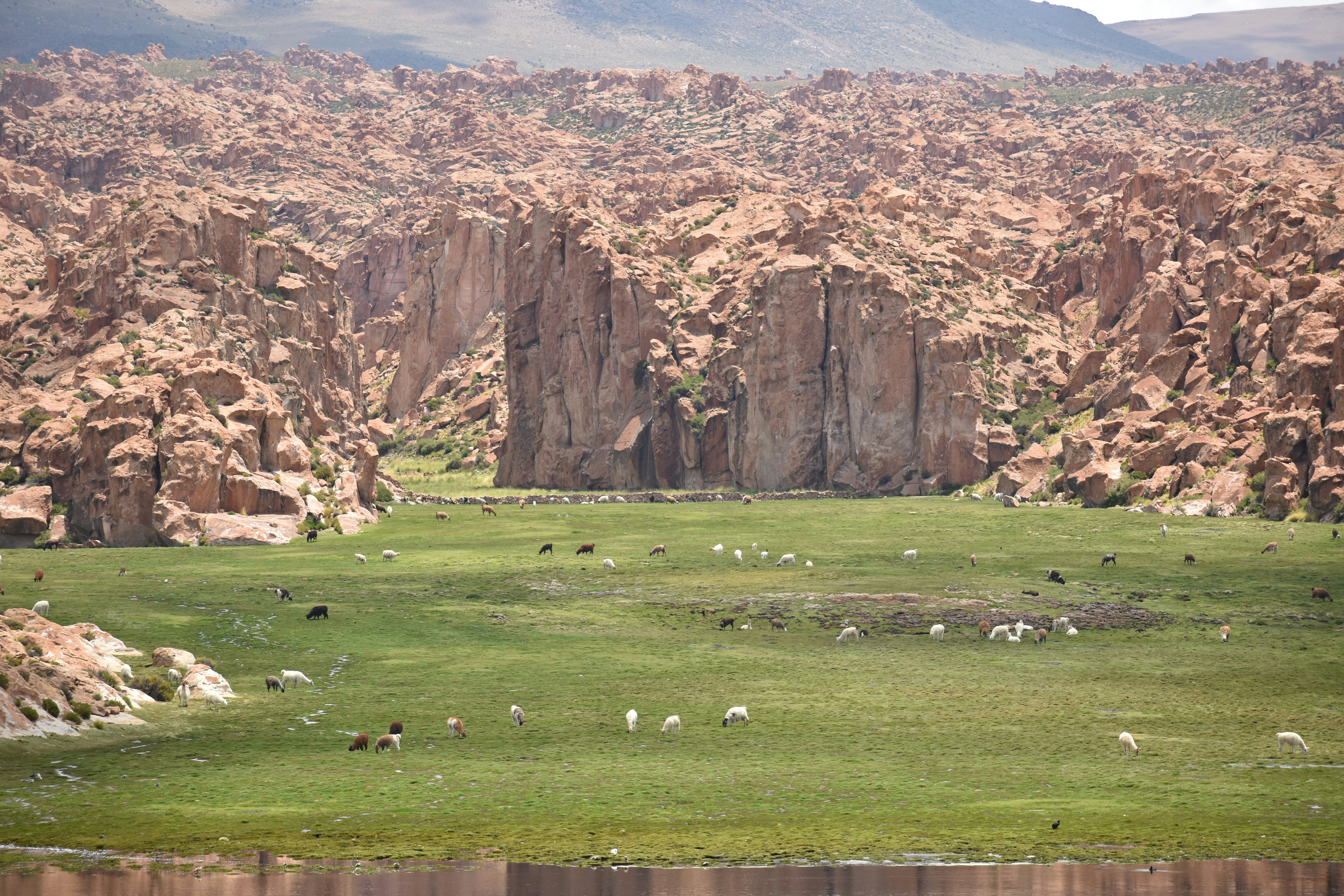 San Pedro de Totora, Oruro, Bolivia