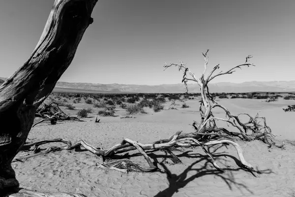 Death Valley National Park